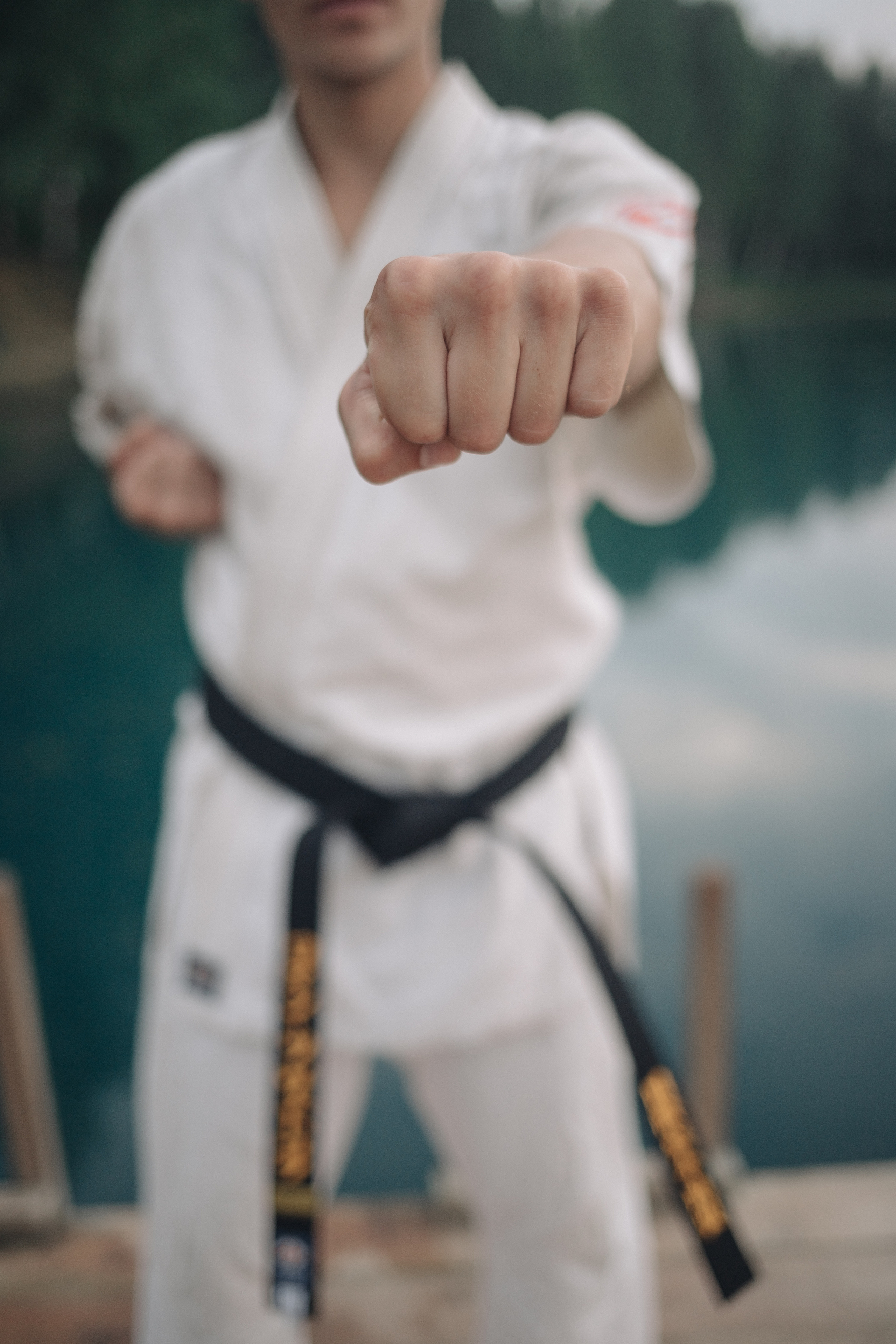 Киокушинкай каратэ (Роман). Фотография