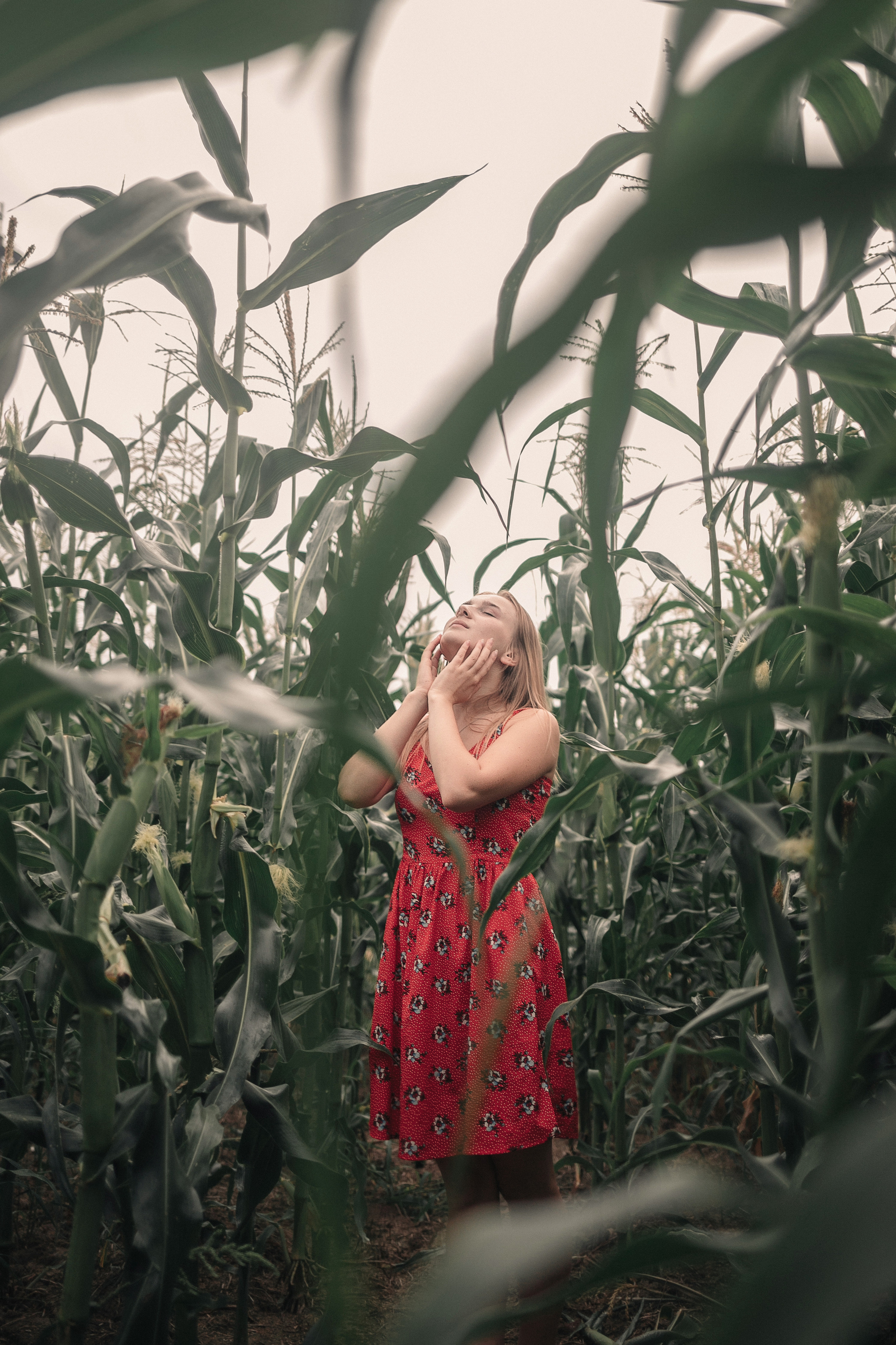 Съемка в кукурузе. Фотография