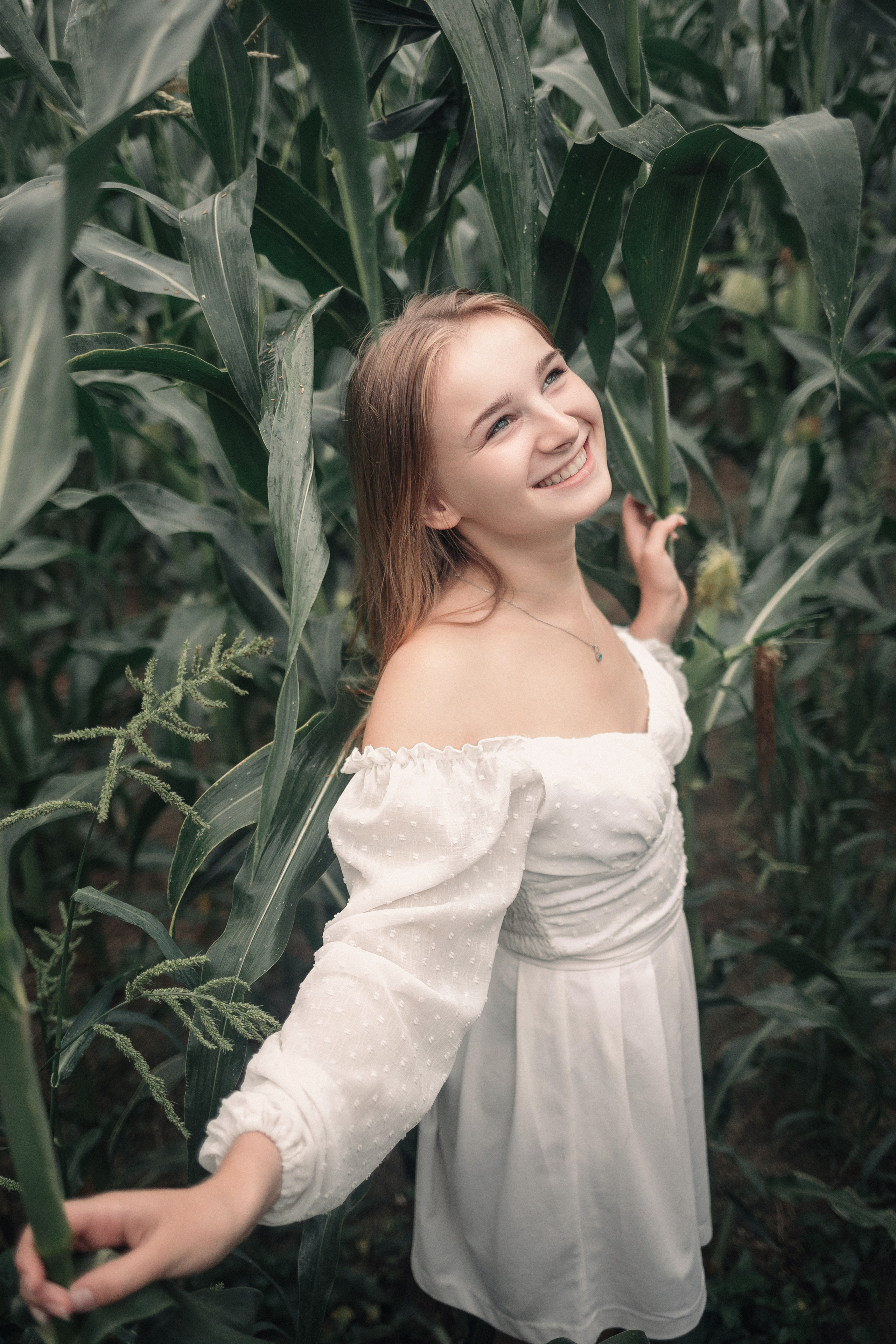 Съемка в кукурузе. Фотография