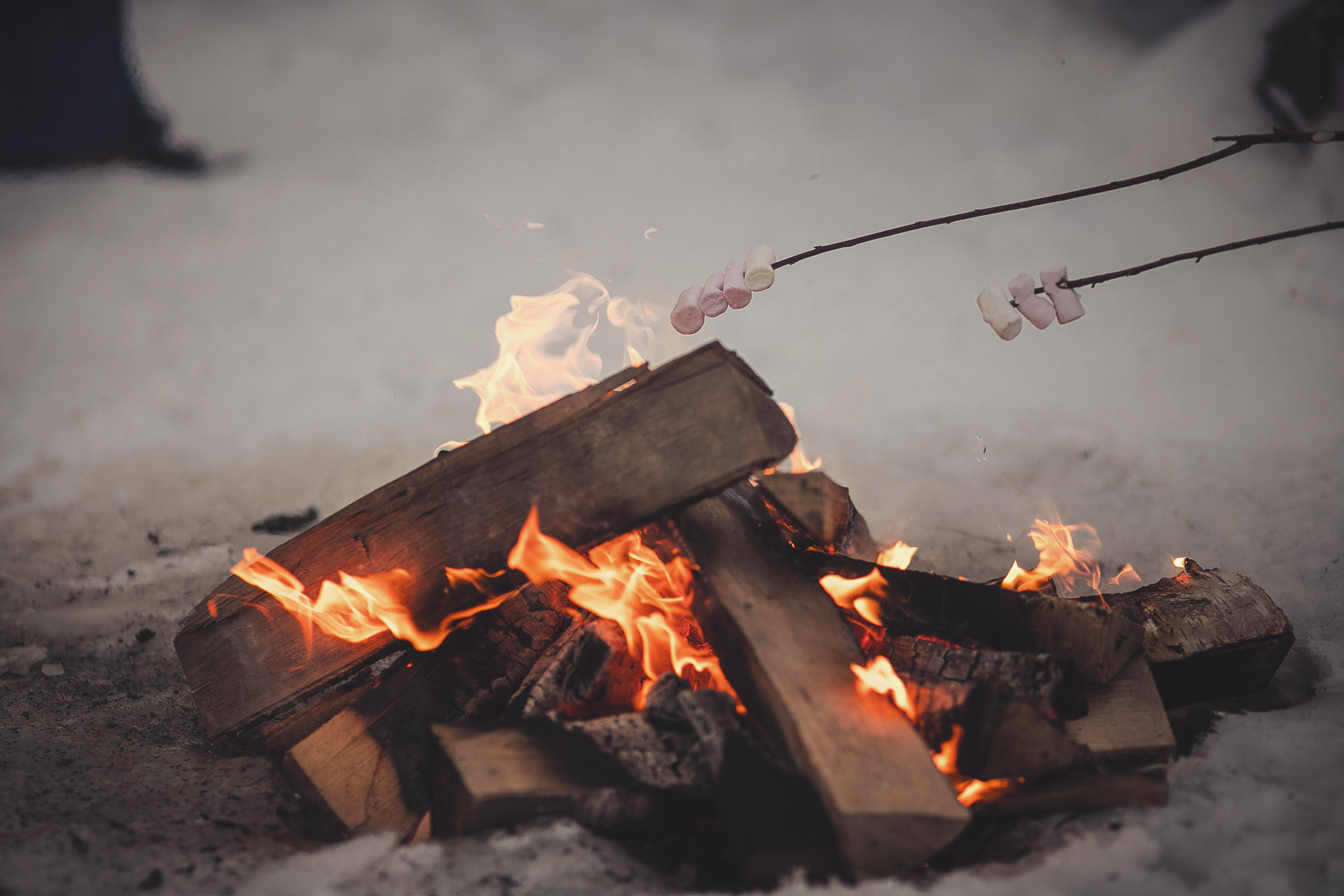 Зимняя прогулка № 2. Фотография