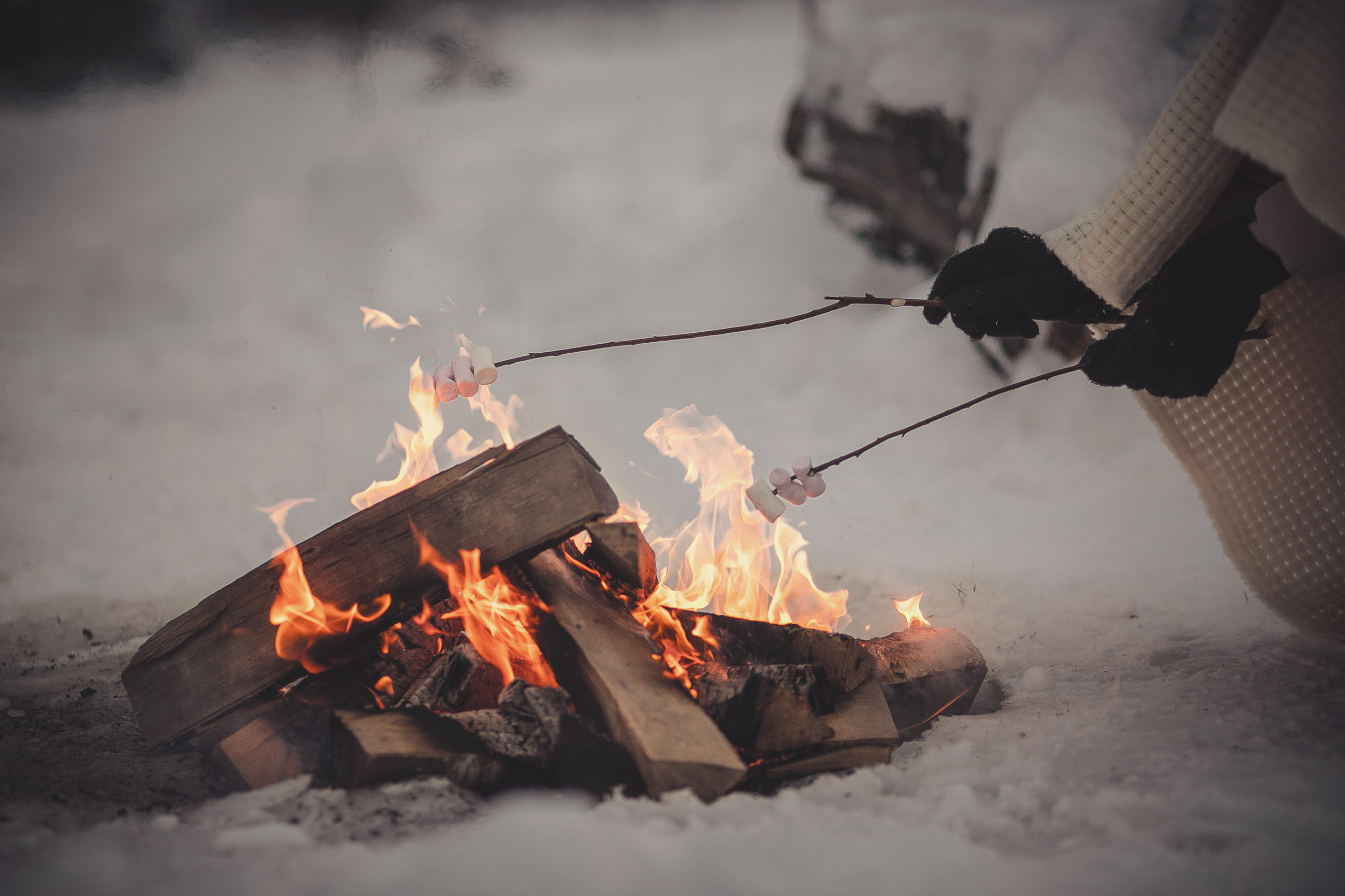 Зимняя прогулка № 2. Фотография