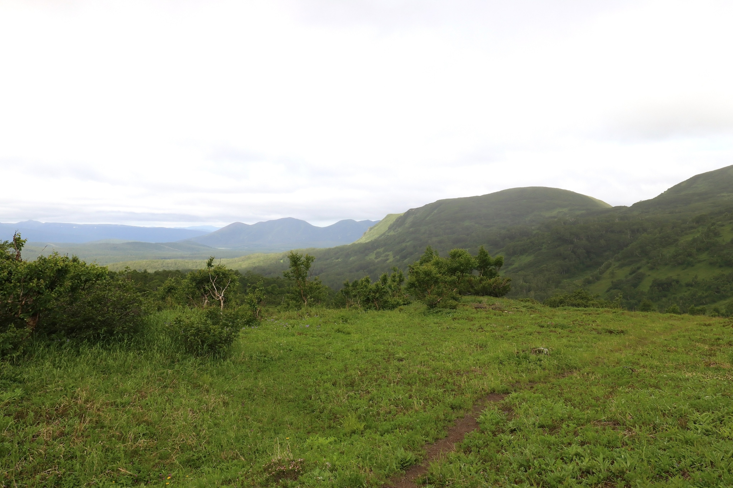 Камчатка и о. Парамушир. Июль 2024. Путешественник-фотограф из Санкт-Петербурга Татьяна Свистулина