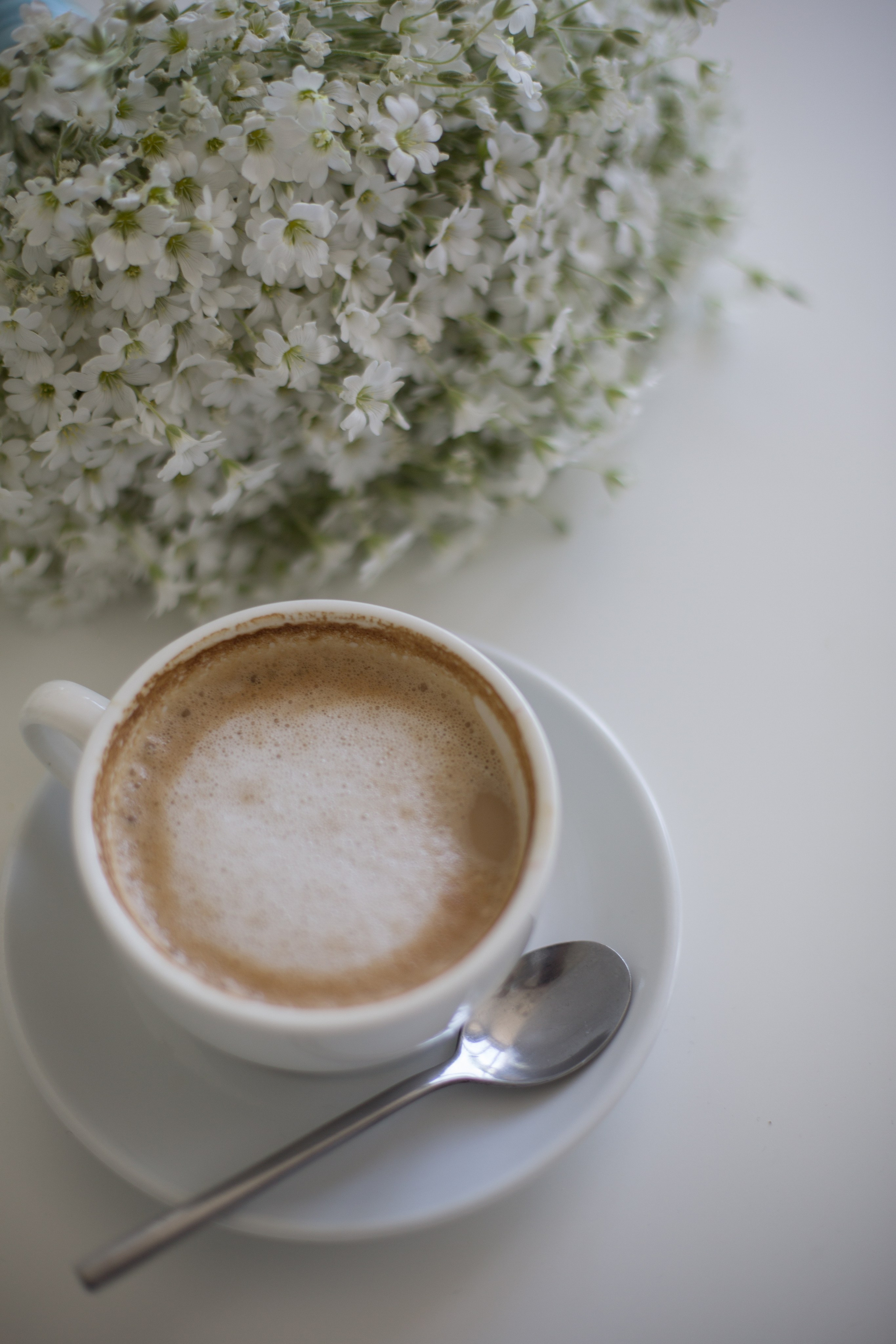 Анастасия и Богдан. Свадебный и контент фотограф в Белгороде Ярослав Гаврилейченко