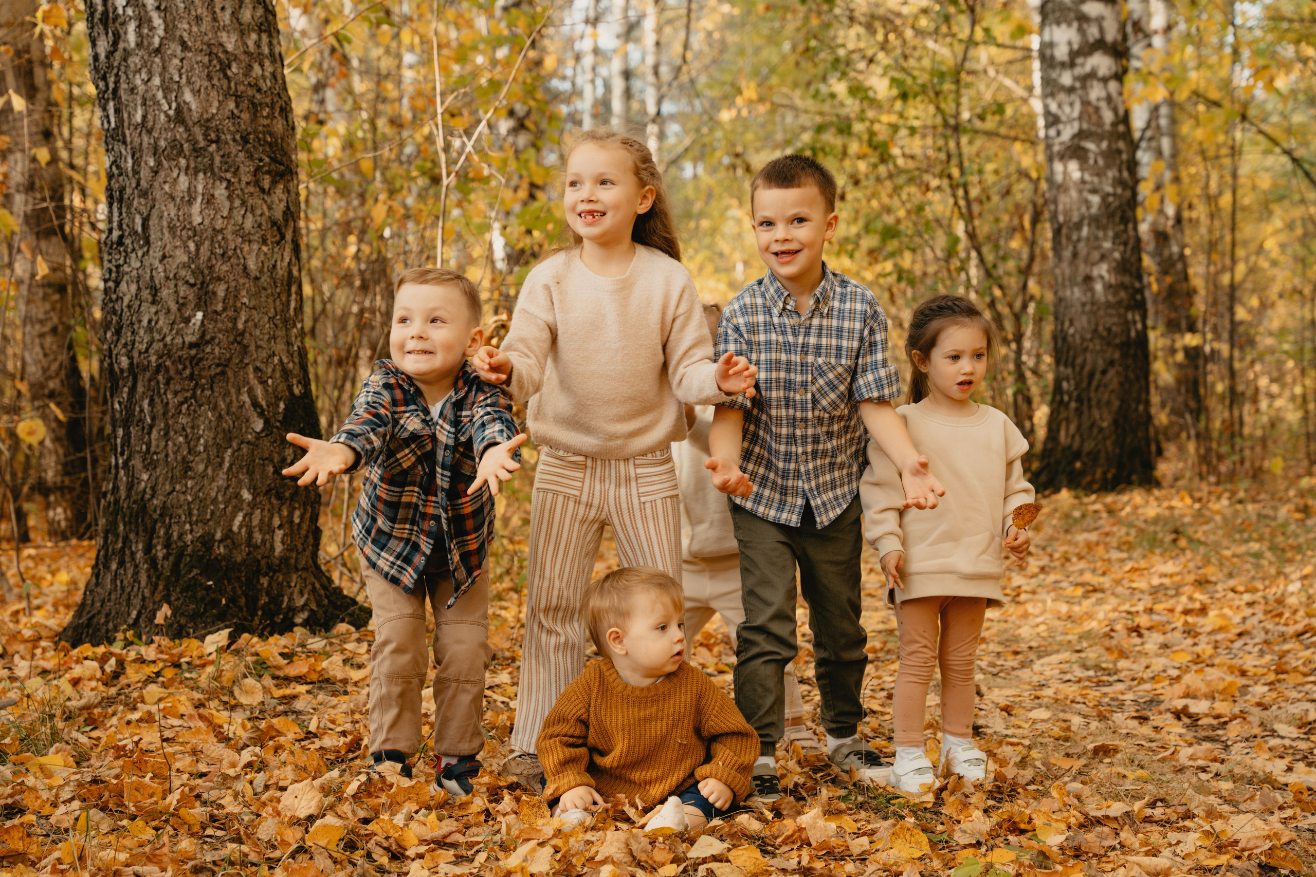 Осенние краски в закате солнца