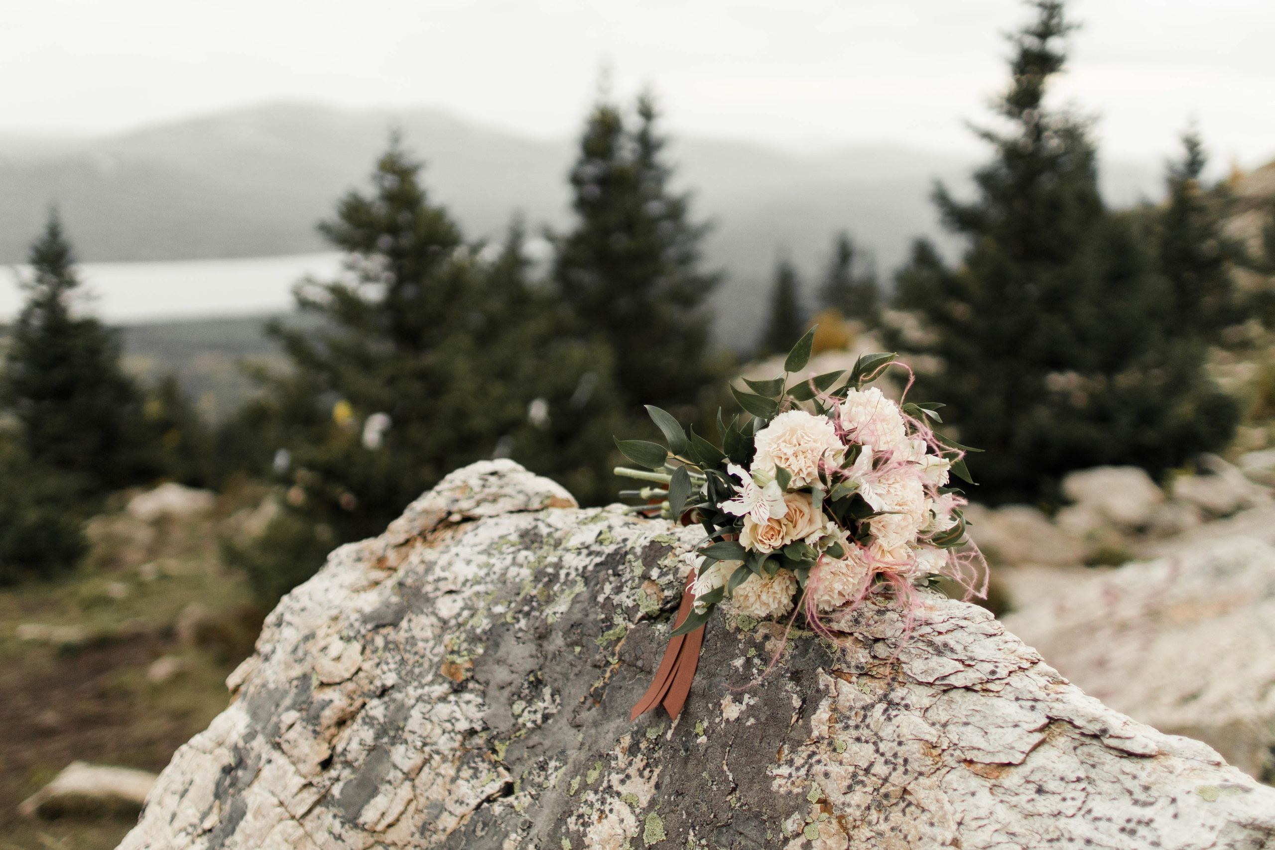 Александр и Ксения. Семейный и детский фотограф в Челябинске Елена Вышегородцева