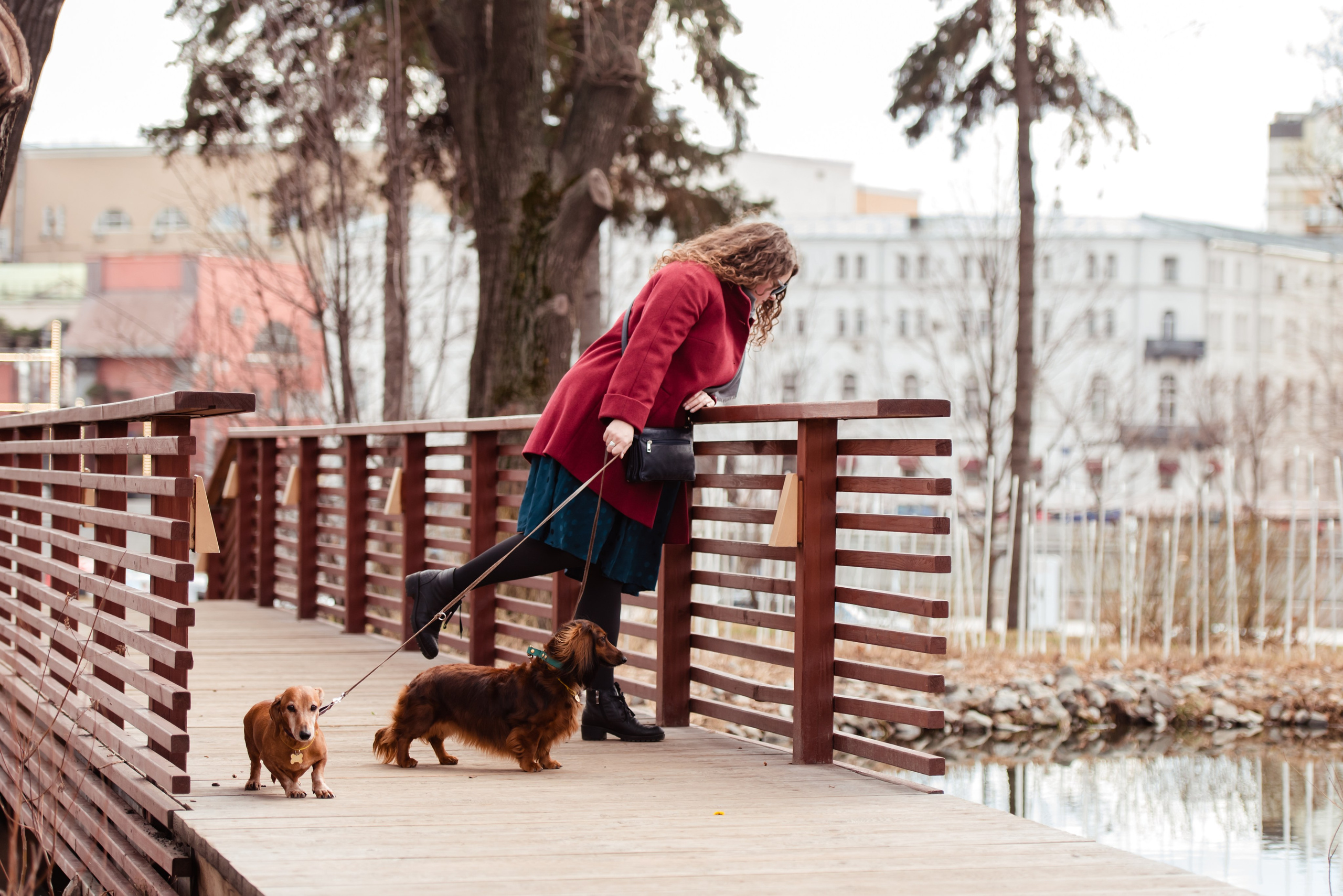 Таксы на Красной площади. Семейный Фотограф в Москве Ирина Хохлова