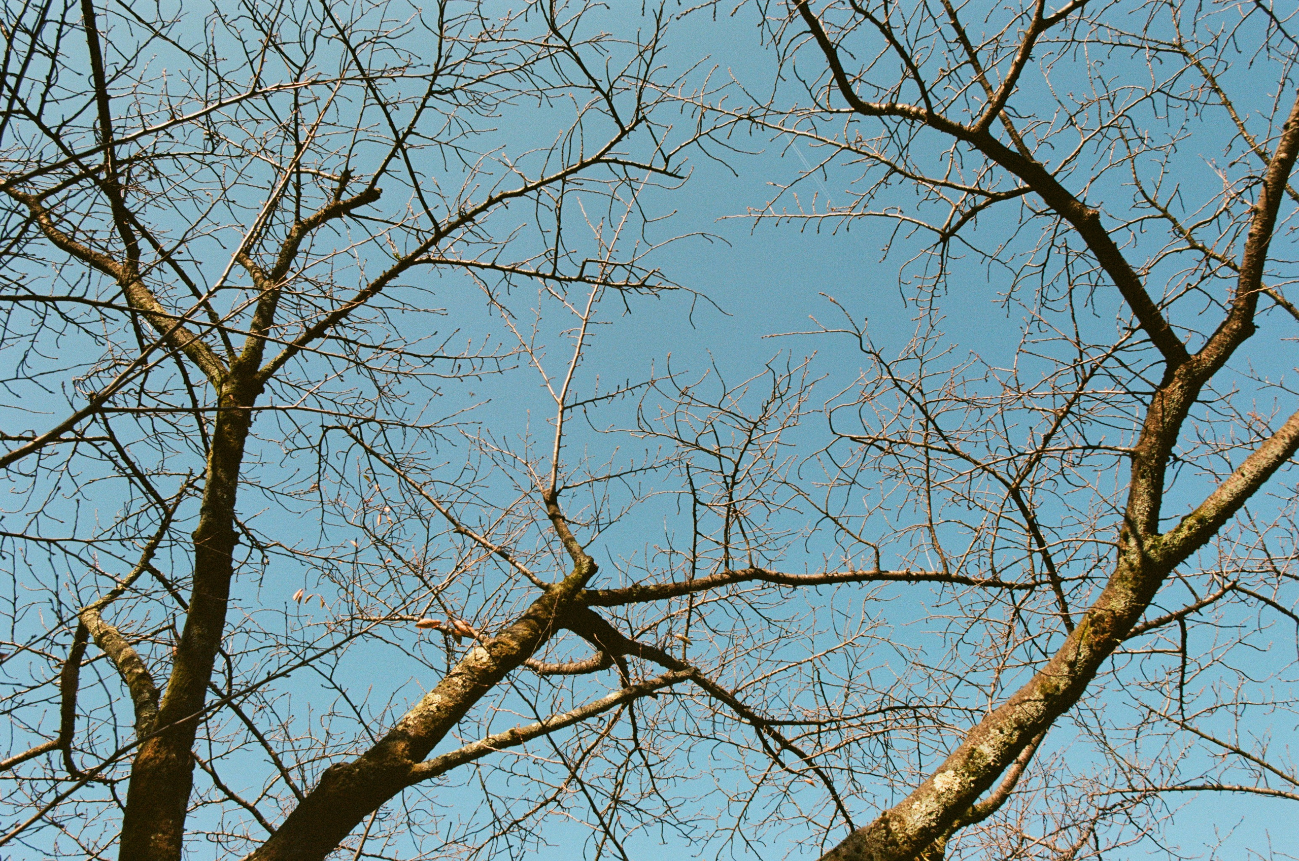 Out of noise // japan, kyoto IV. EVER EXPOSED