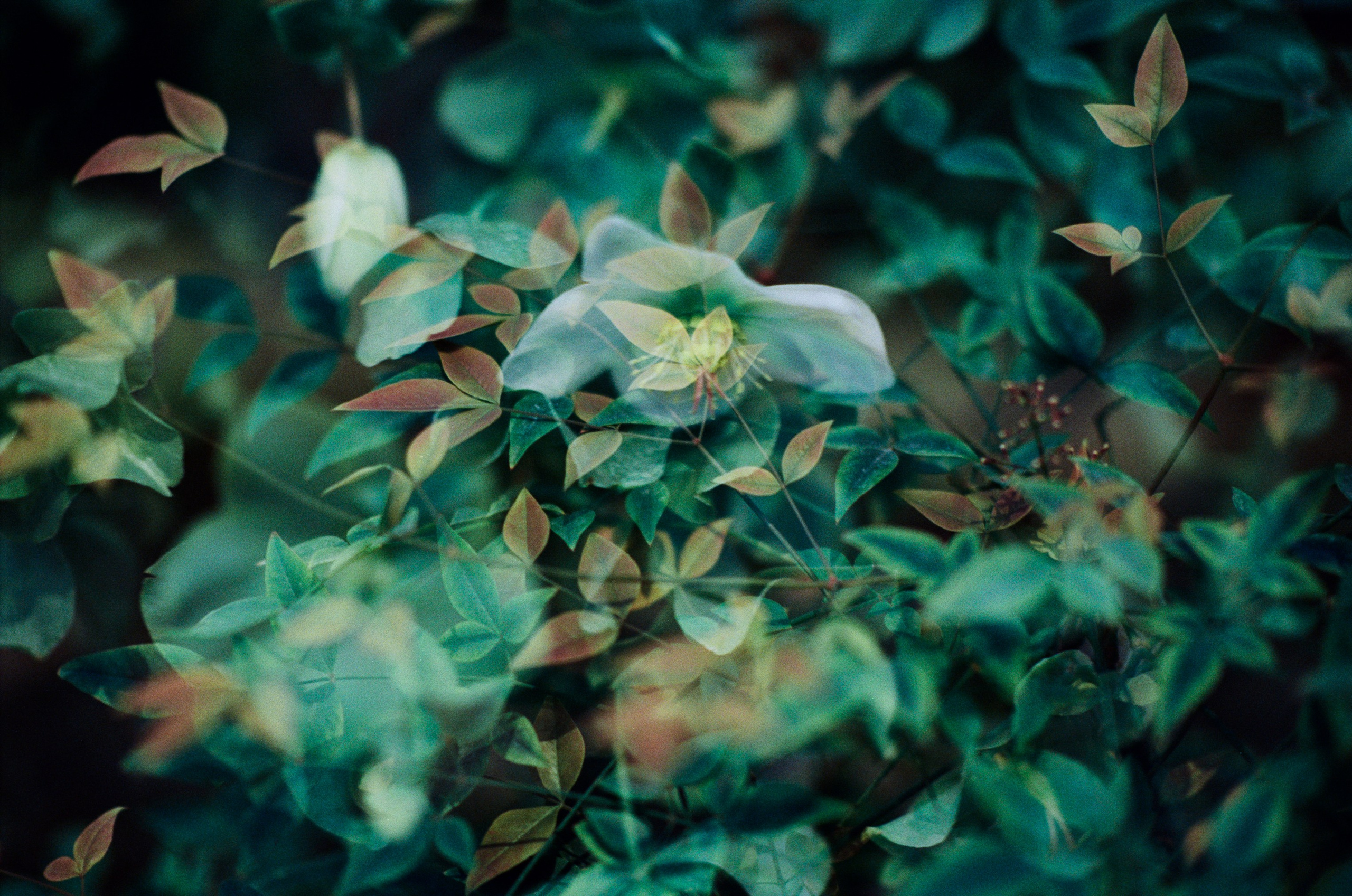 If i get high III. EVER EXPOSED