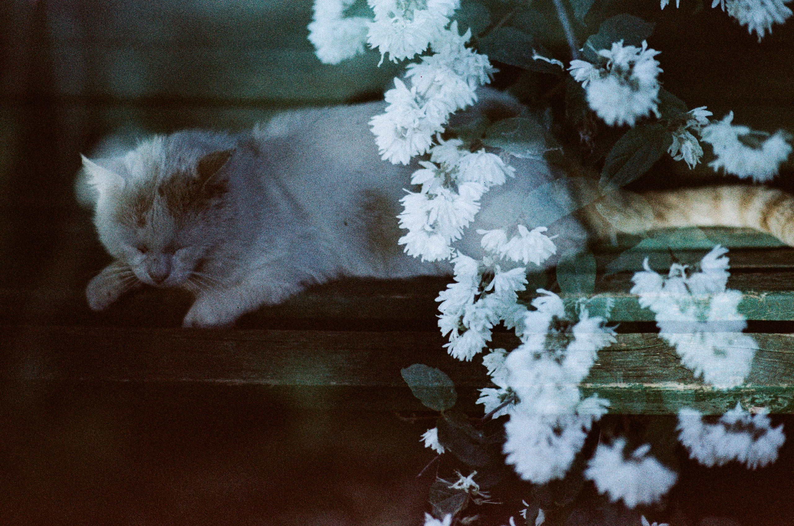 Pain shopping // ukraine, crimea. EVER EXPOSED