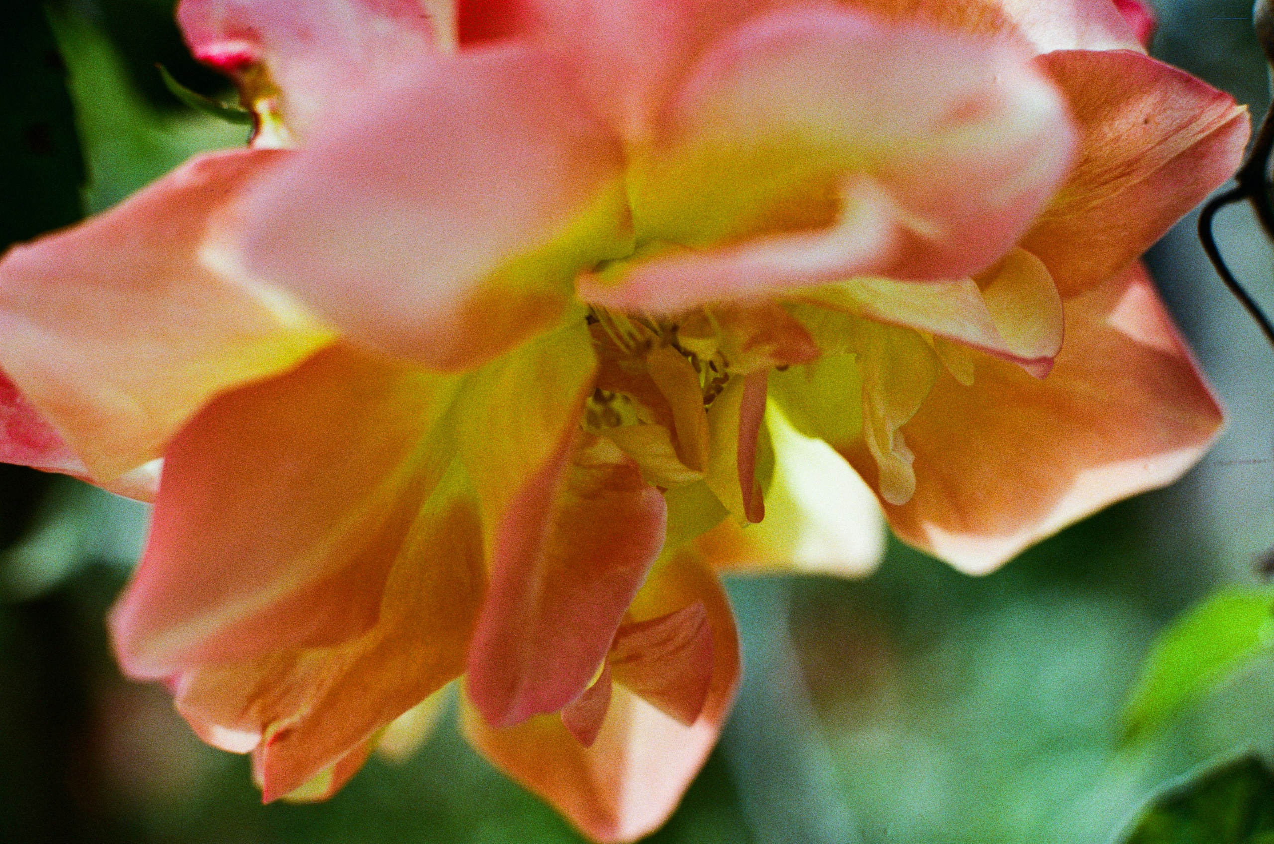 Point of no reply // ukraine, crimea VI. EVER EXPOSED