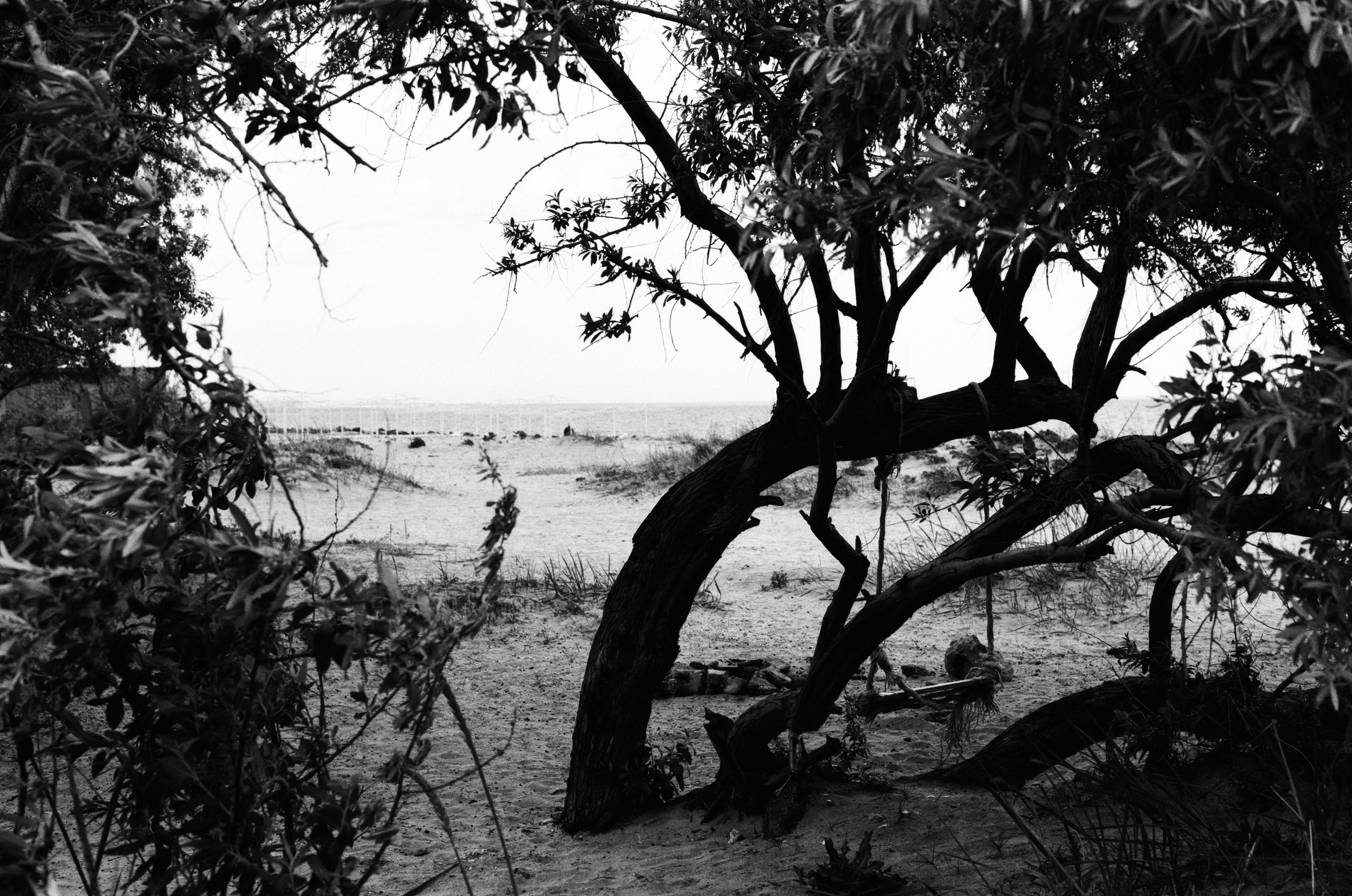 Sparks // ukraine, crimea III. EVER EXPOSED