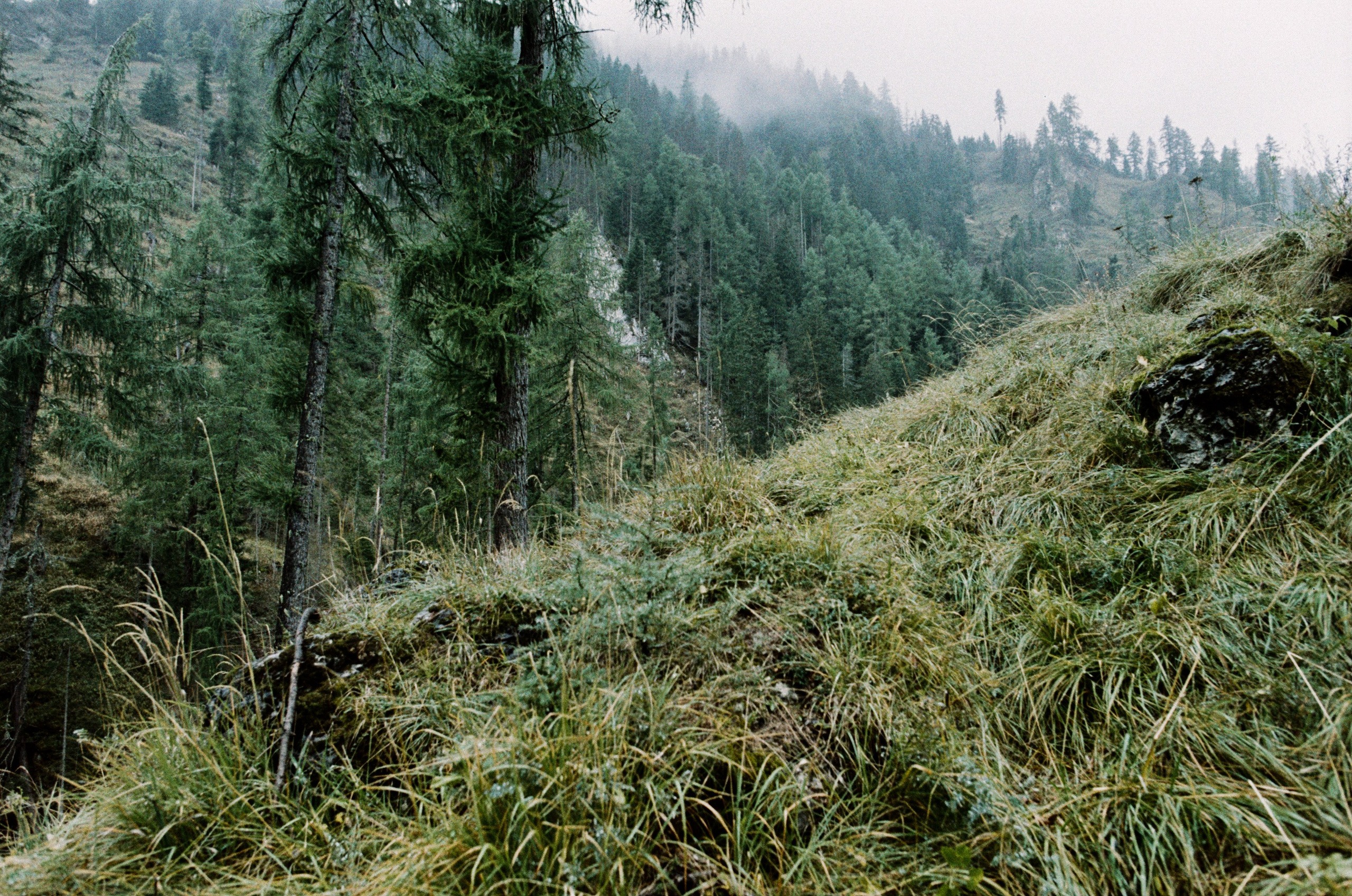 Wasted // italy, dolomites II. EVER EXPOSED
