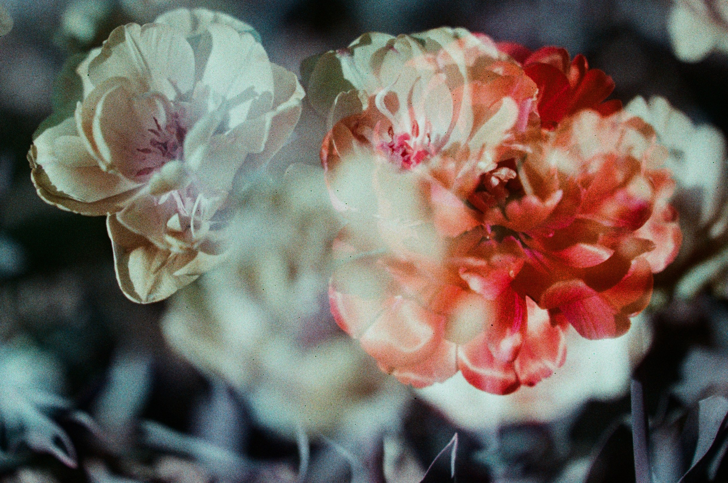 Press enter to exit // ukraine, crimea VIII. EVER EXPOSED