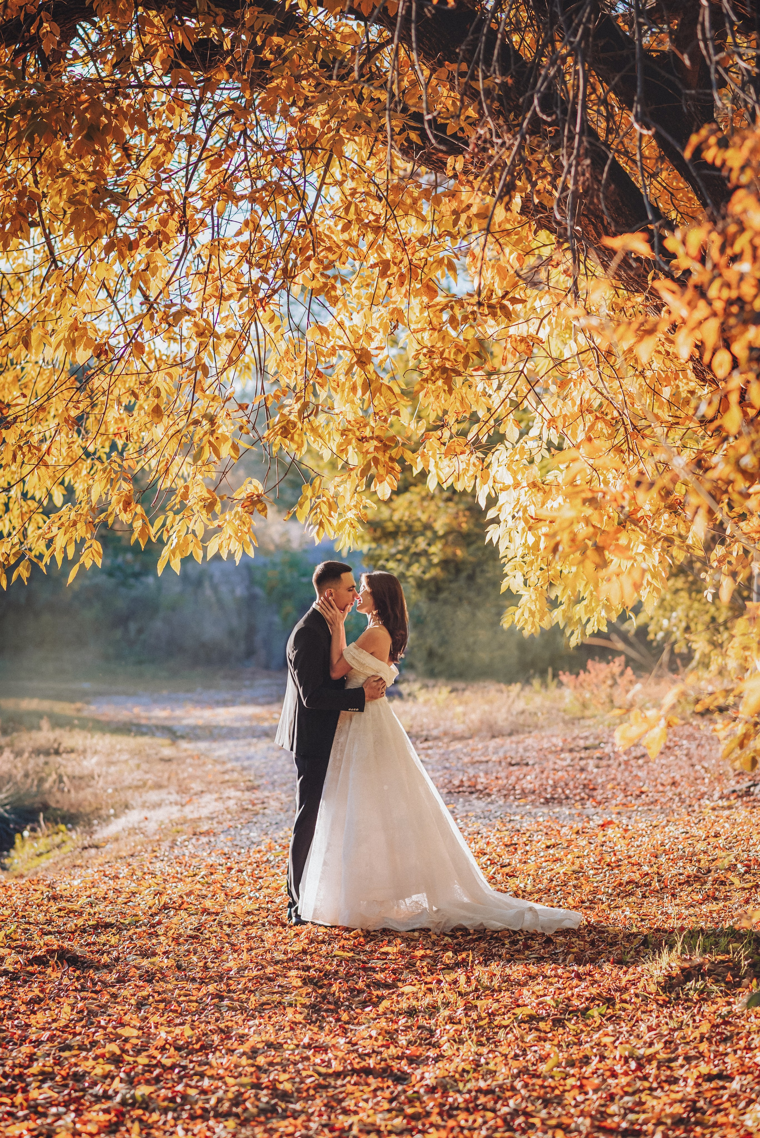 Осень. Профессиональный фотограф и видеооператор