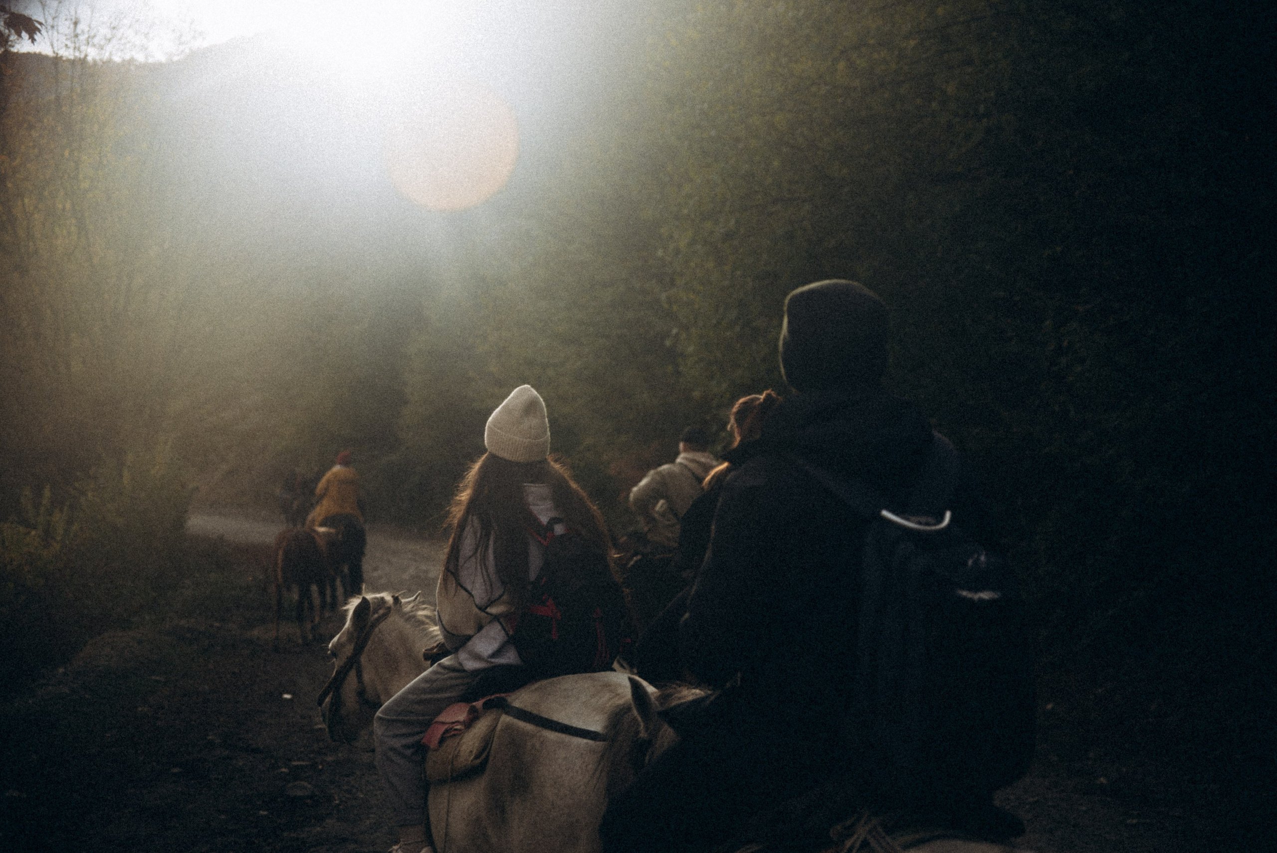 Конный поход 🇬🇪 «PVD Club». Anita_photo