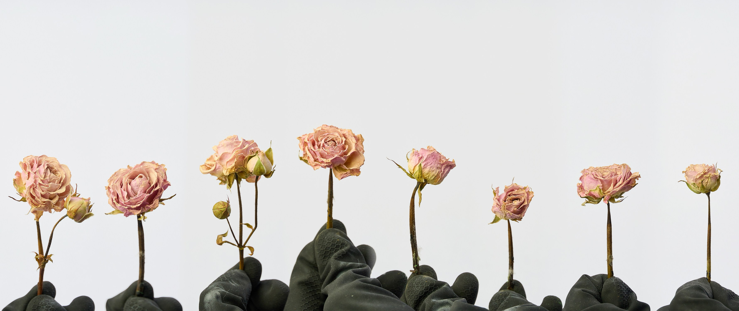 Photographer Pavel Romashchenko