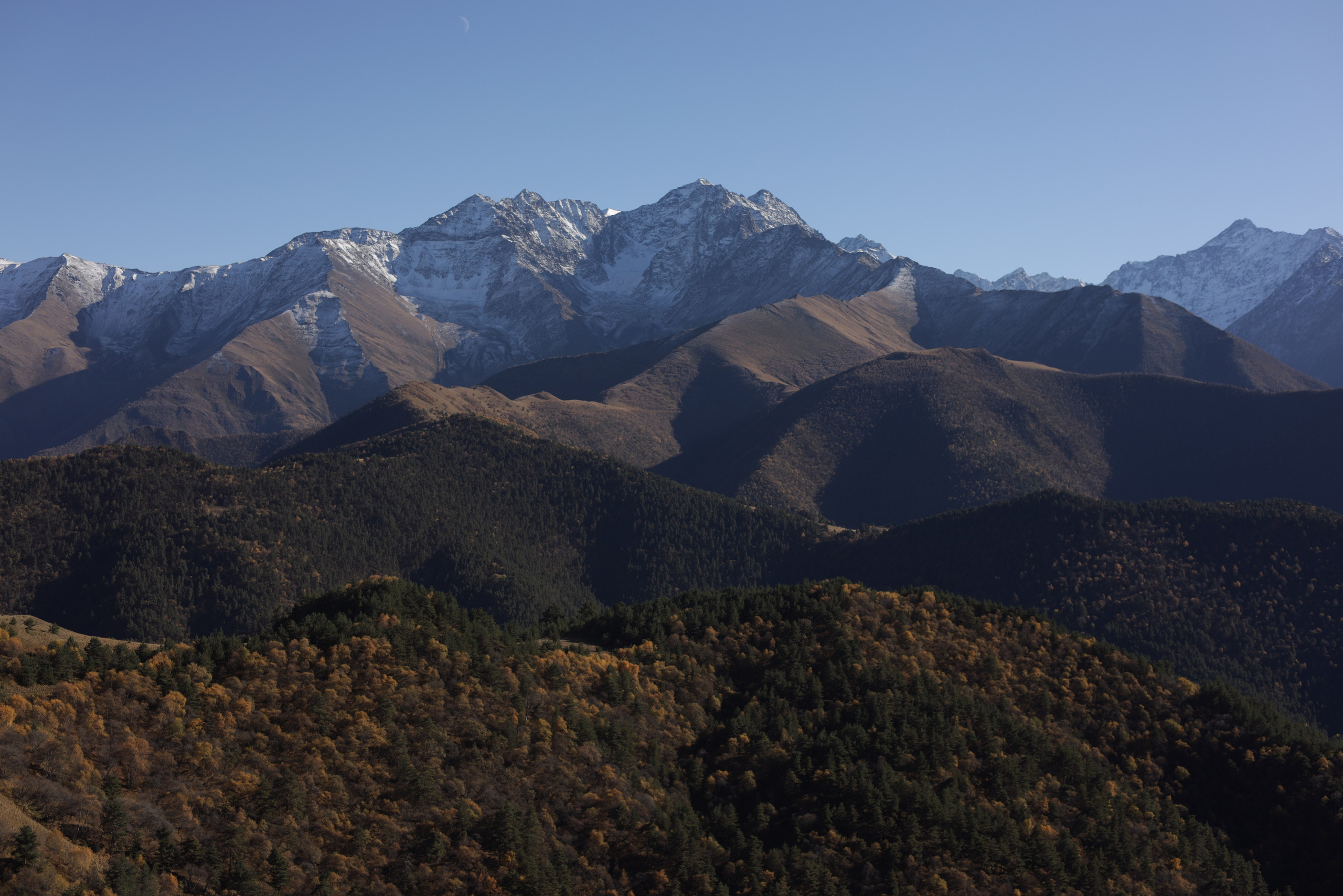 Отзывы. Irina Shulmeister