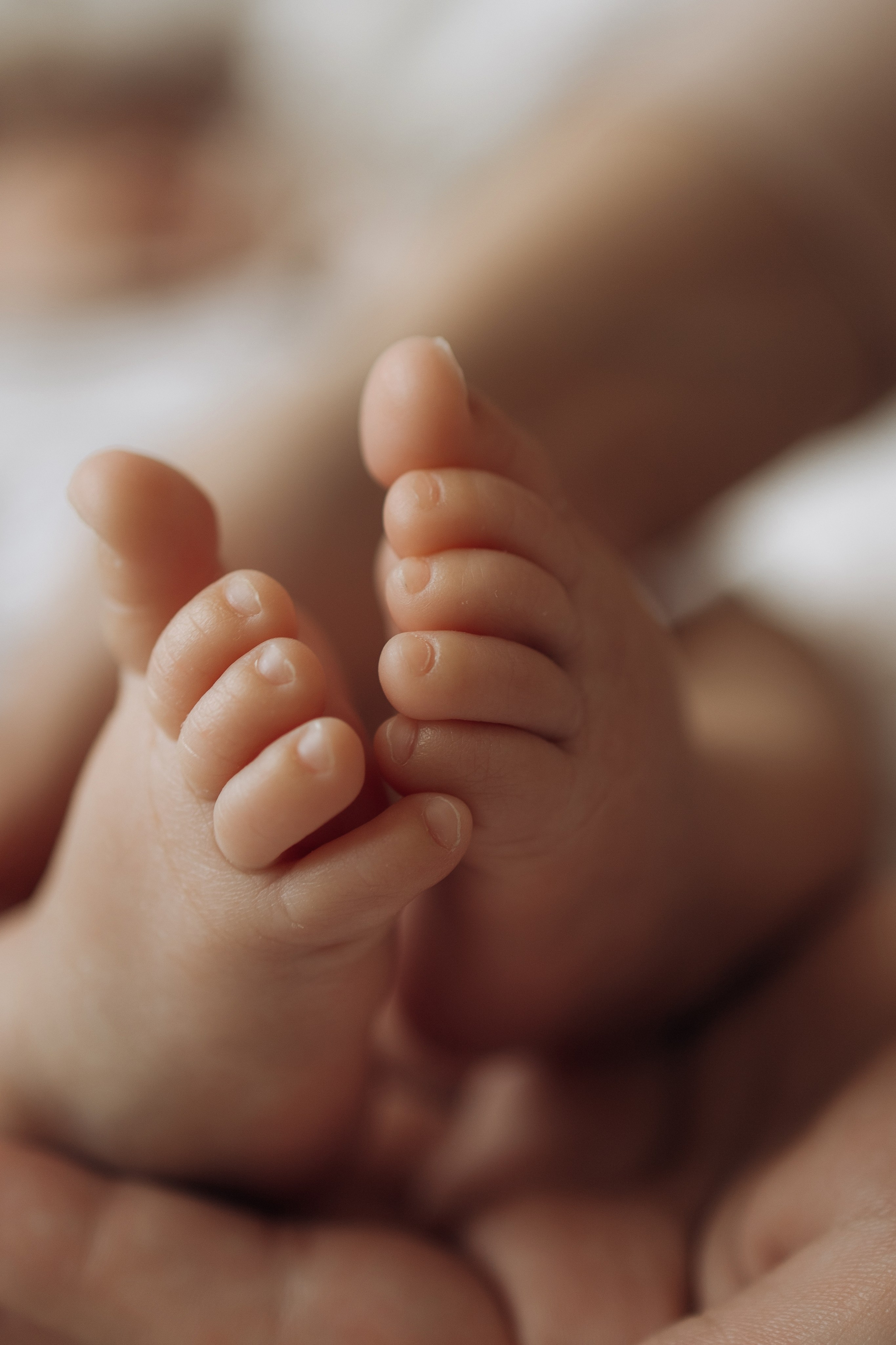 Семейная София. Самый теплый фотограф в Краснодаре Рябоконь Ксения