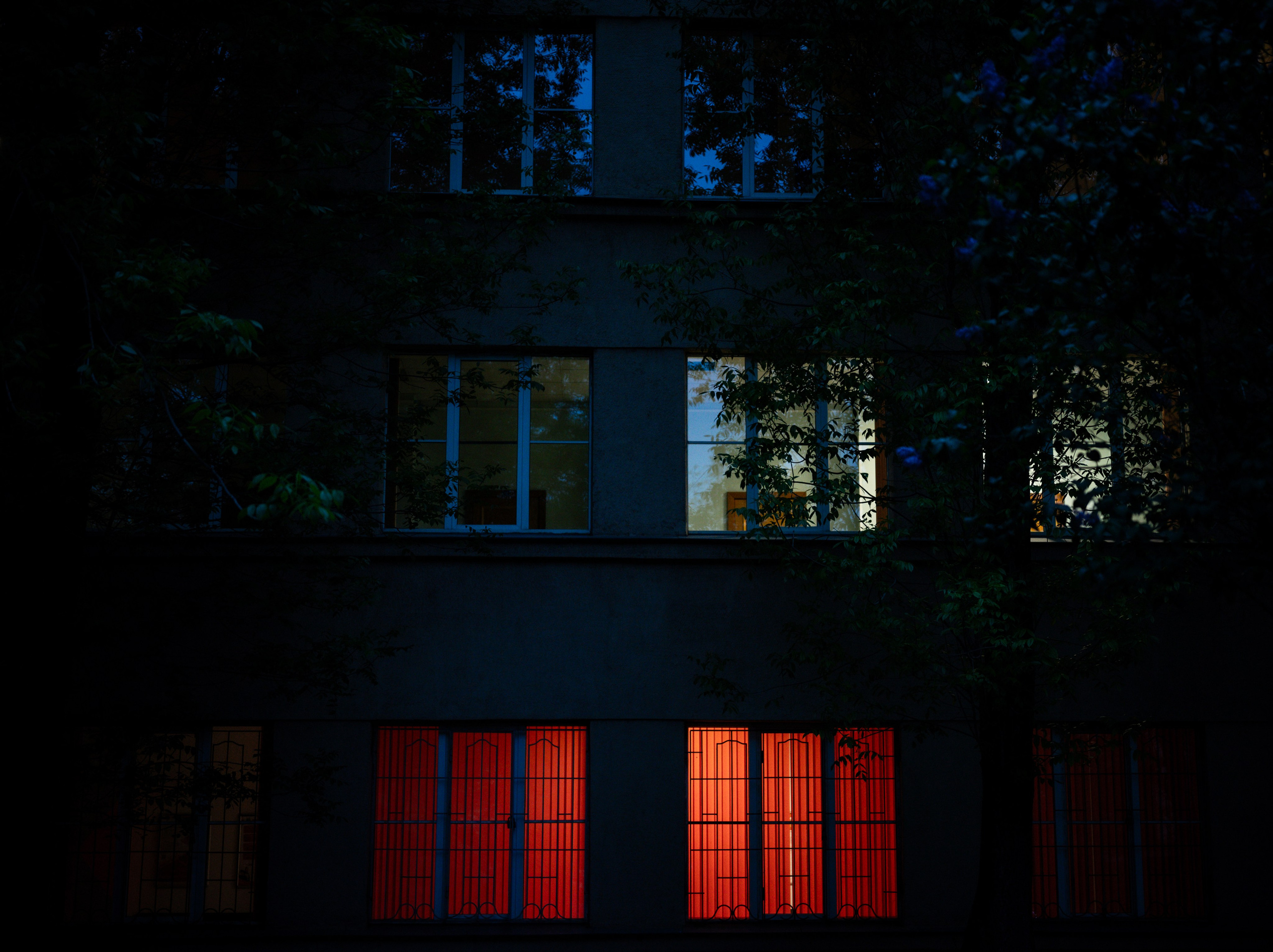 Saint-Petersburg. Photographer in Saint Petersburg, Russia