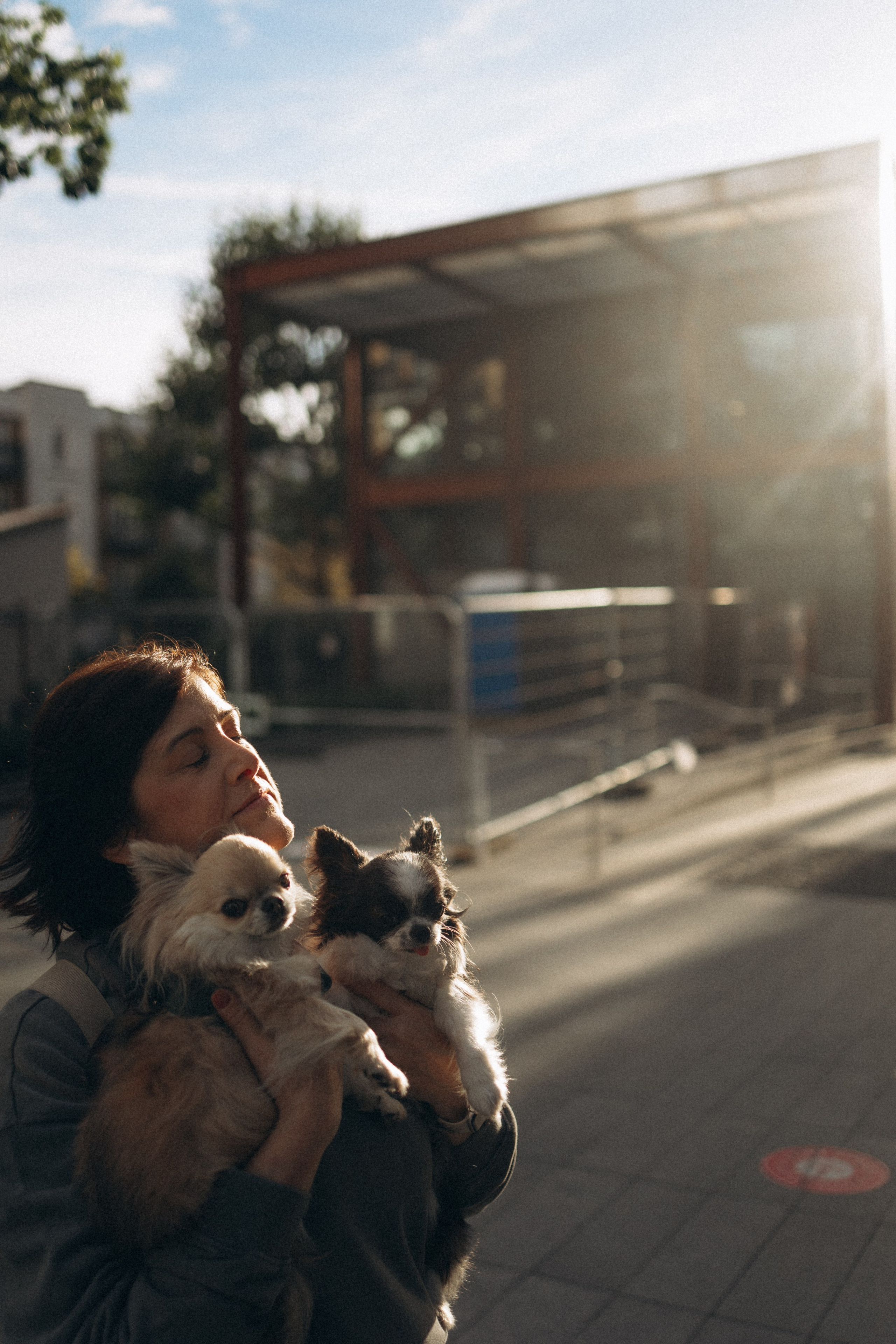 Кристина, Тия и Тедди. Фотораф — анималист Мария Шистка