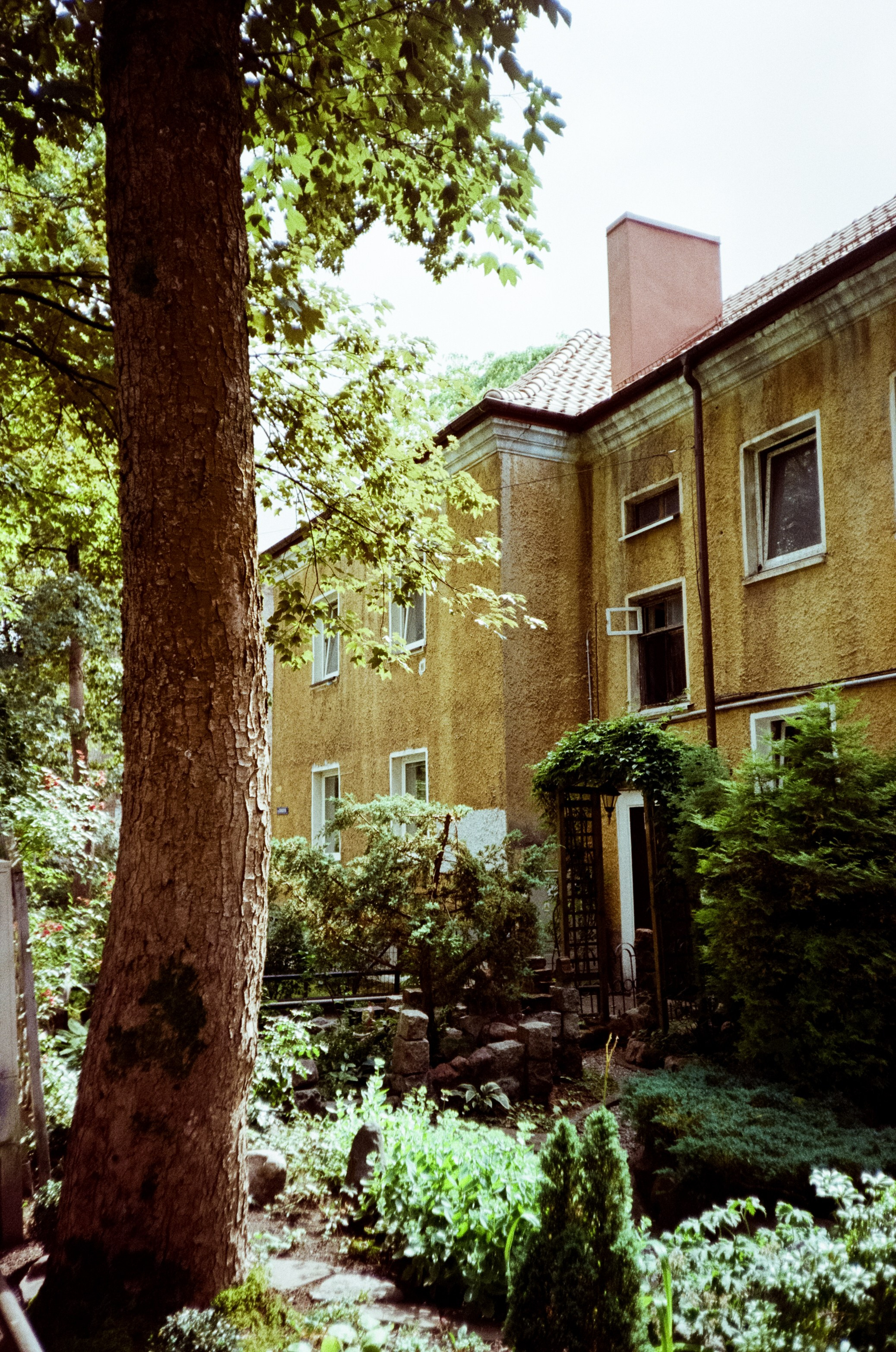 Калининградский стрит. От Амалиенау до кафе Толстой. Фотограф-документалист Мария Осокина