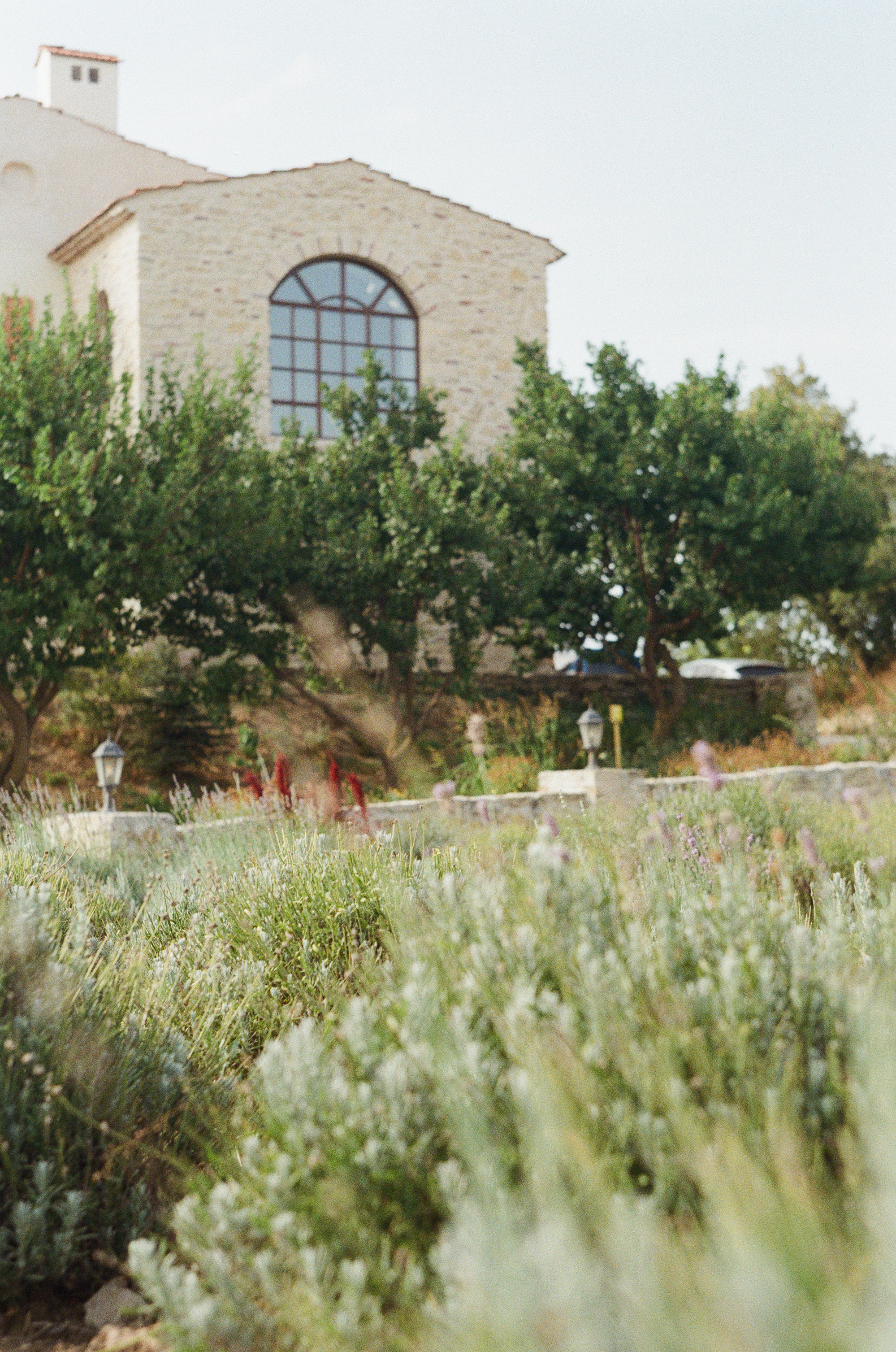 Georgia. Фотограф на Бали|Свадьба на Бали