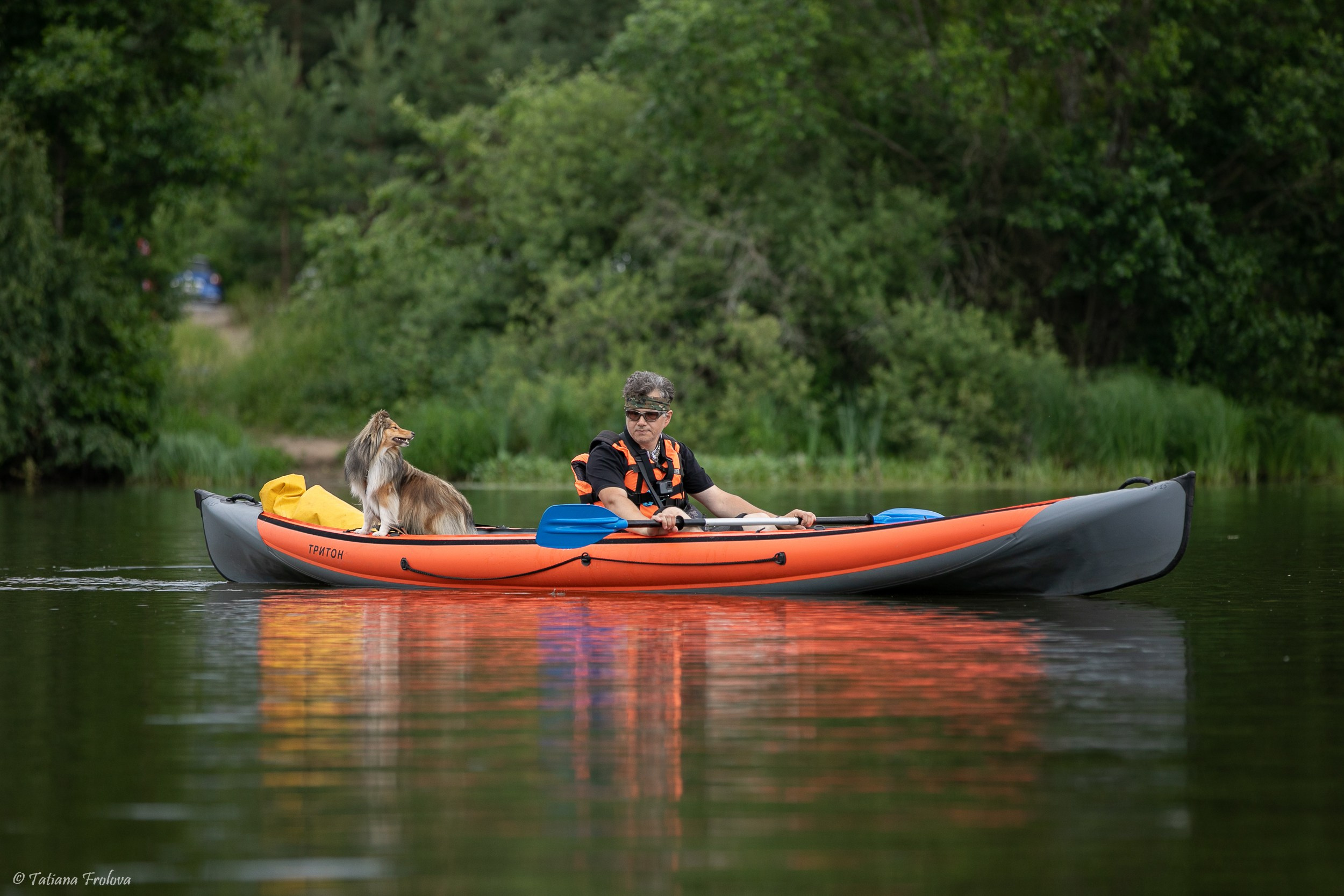 Фотоочет о сплаве на байдарках вместе с собаками. Фотограф-анималист в Москве и Московской области Татьяна Фролова