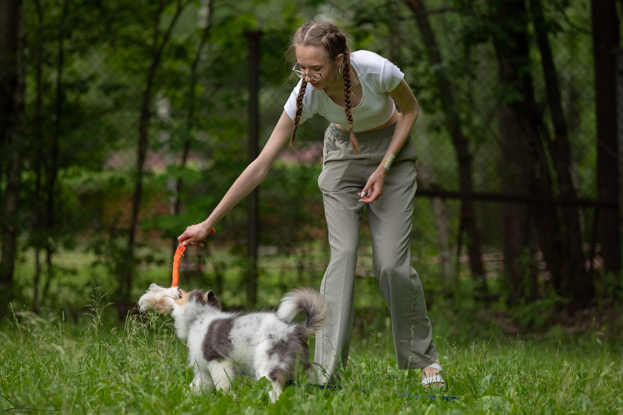 Репортаж с выводки молодняка колли/шелти в Ясенево. Фотограф-анималист в Москве и Московской области Татьяна Фролова