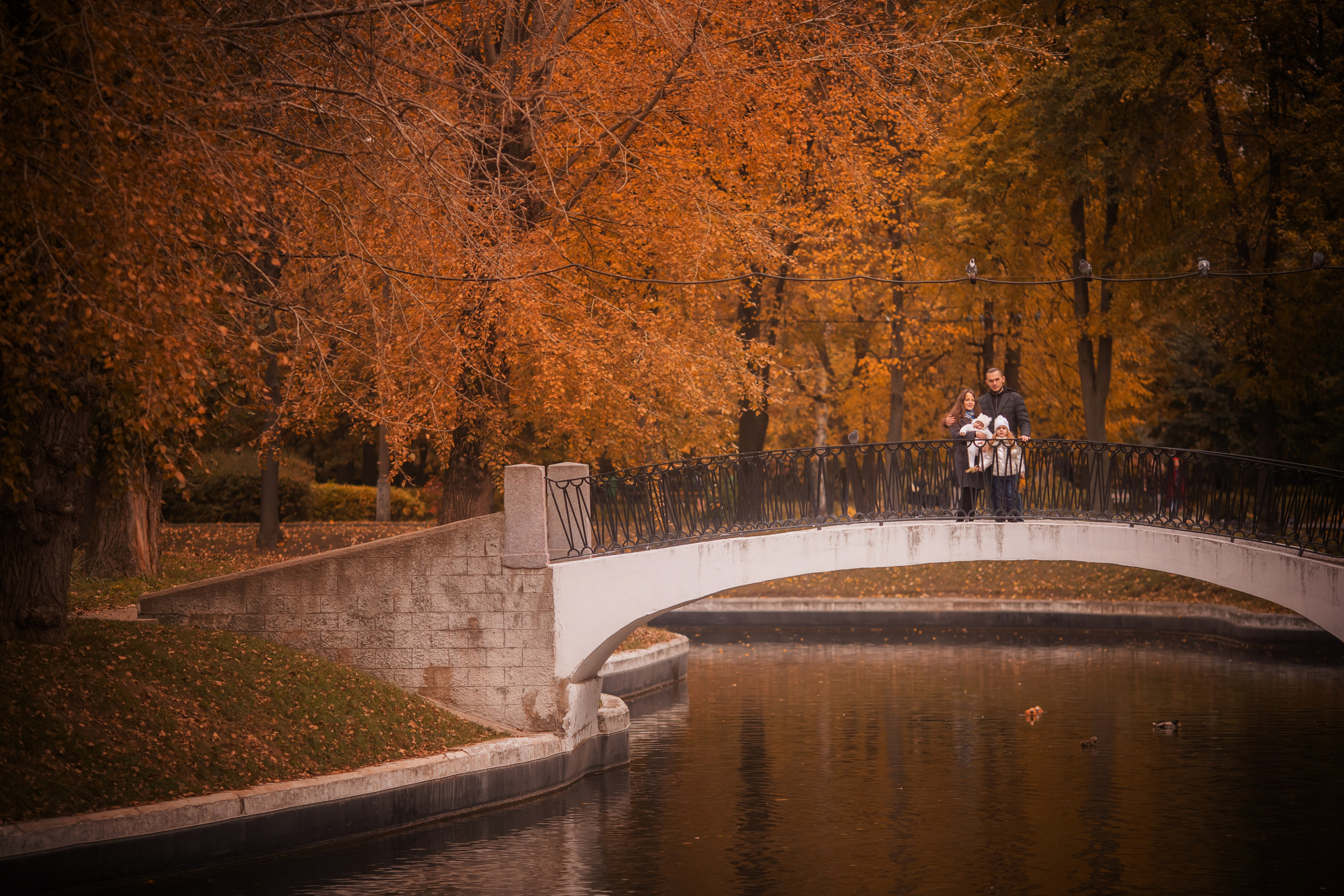 Осенняя семейная фотосессия. צלם ואמן ילדים ומשפחה