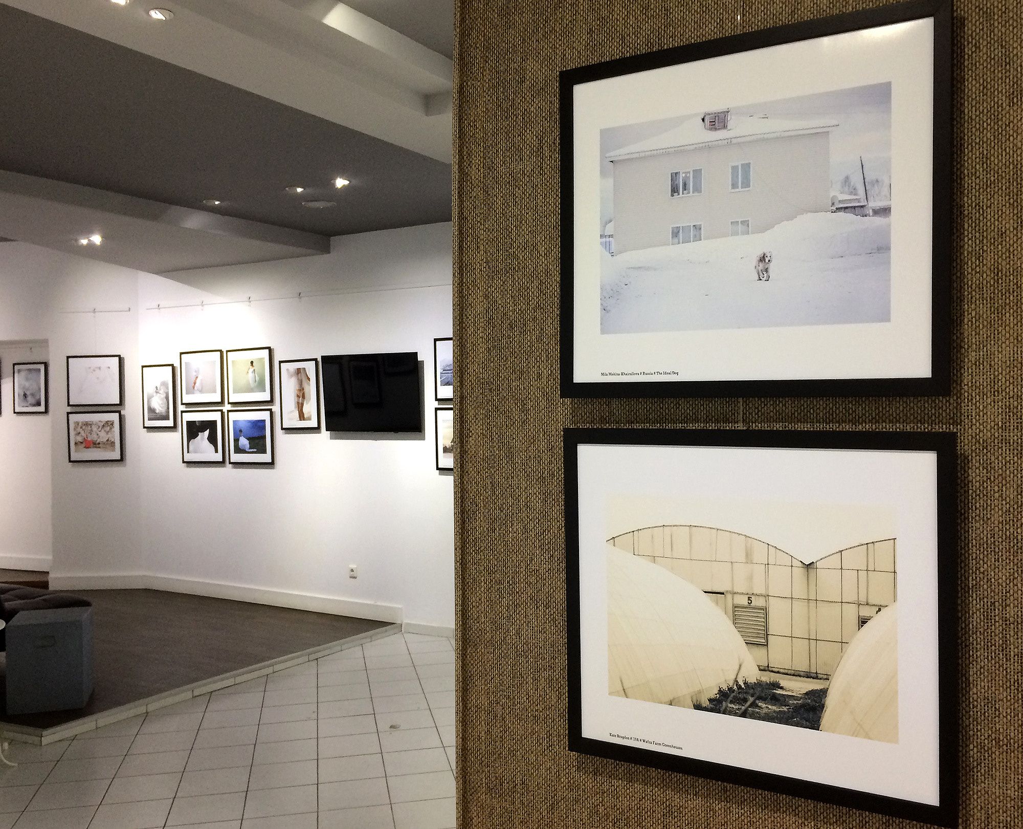 Выставка в Афинах. Фотохудожник Мила Мокина-Хайруллова. Екатеринбург