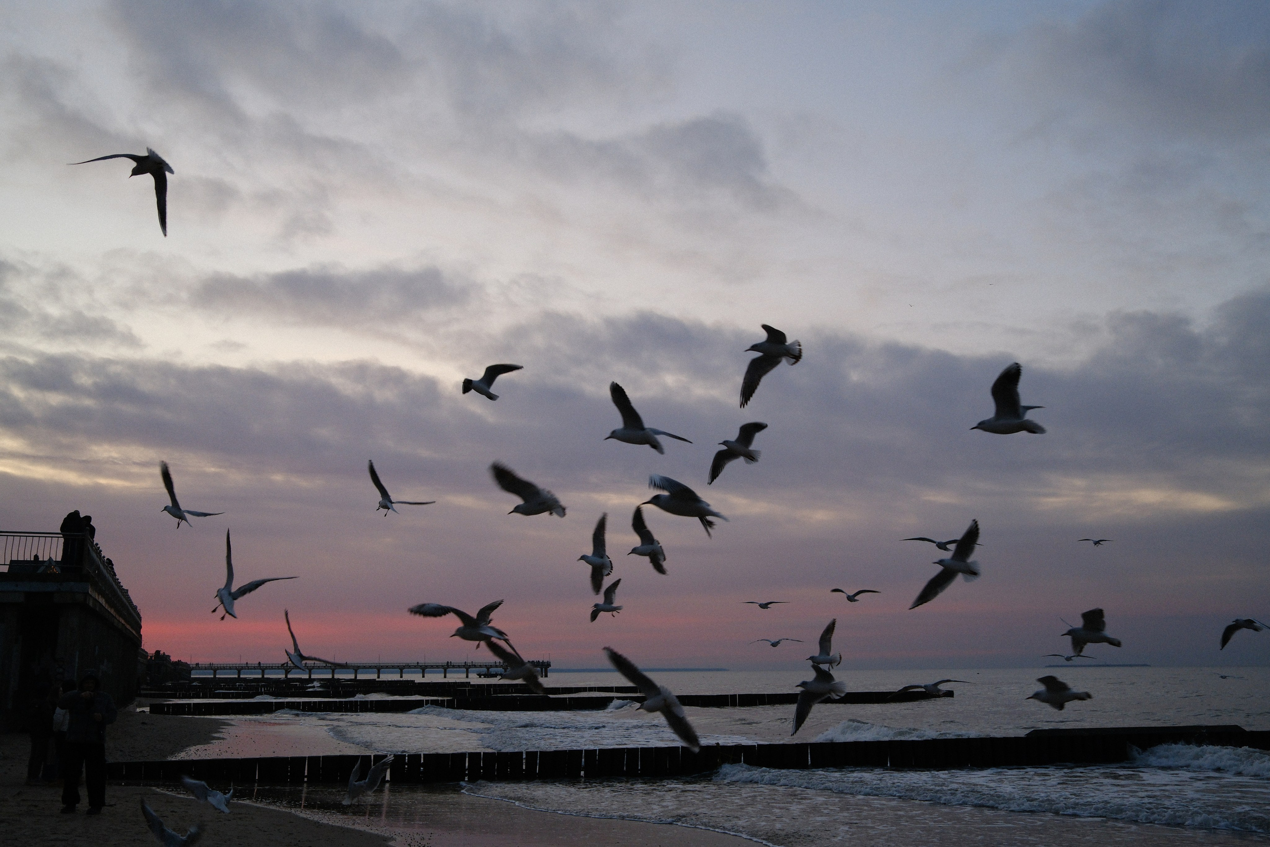 Зеленоградск. Калининградская область. Алексей Торопов фотограф