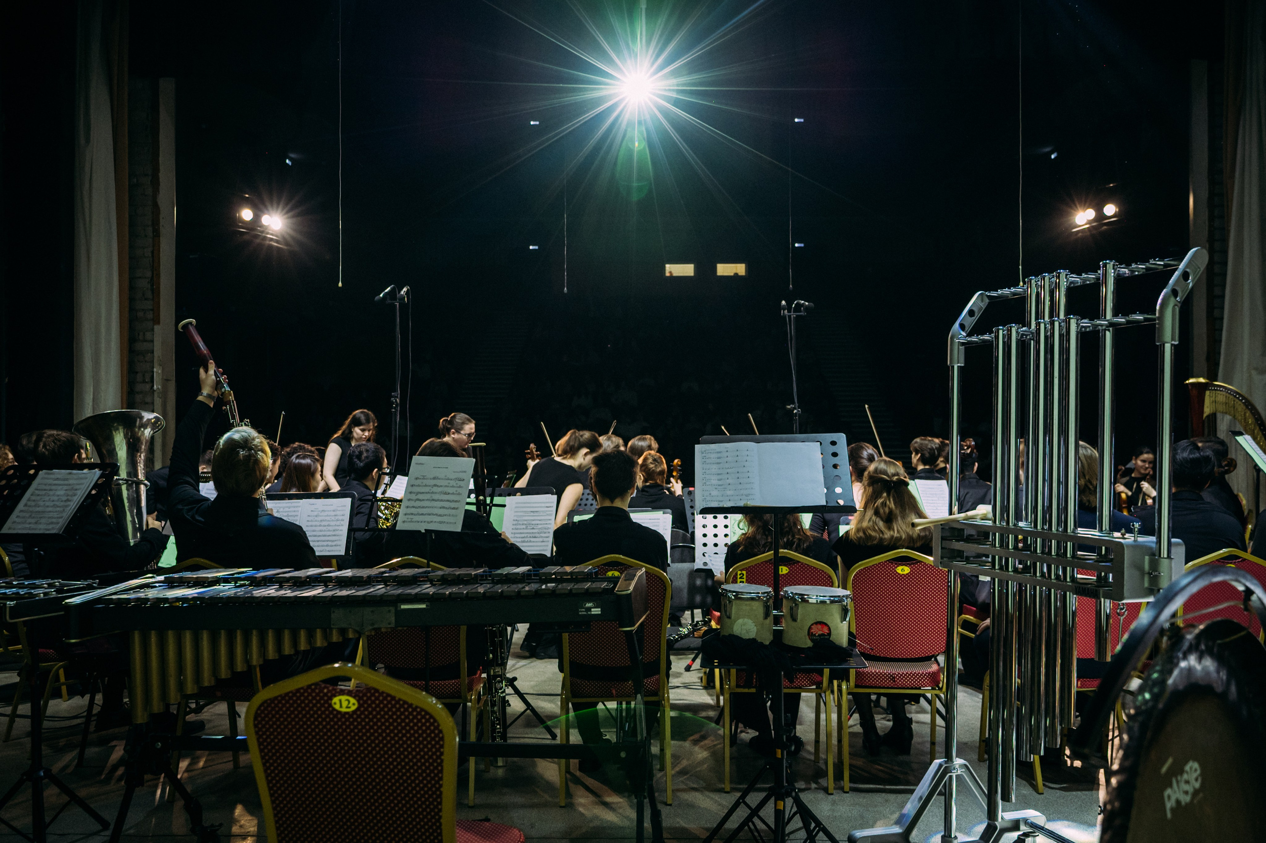 Симфонический оркестр. Фотограф в Волгограде Марина Черных