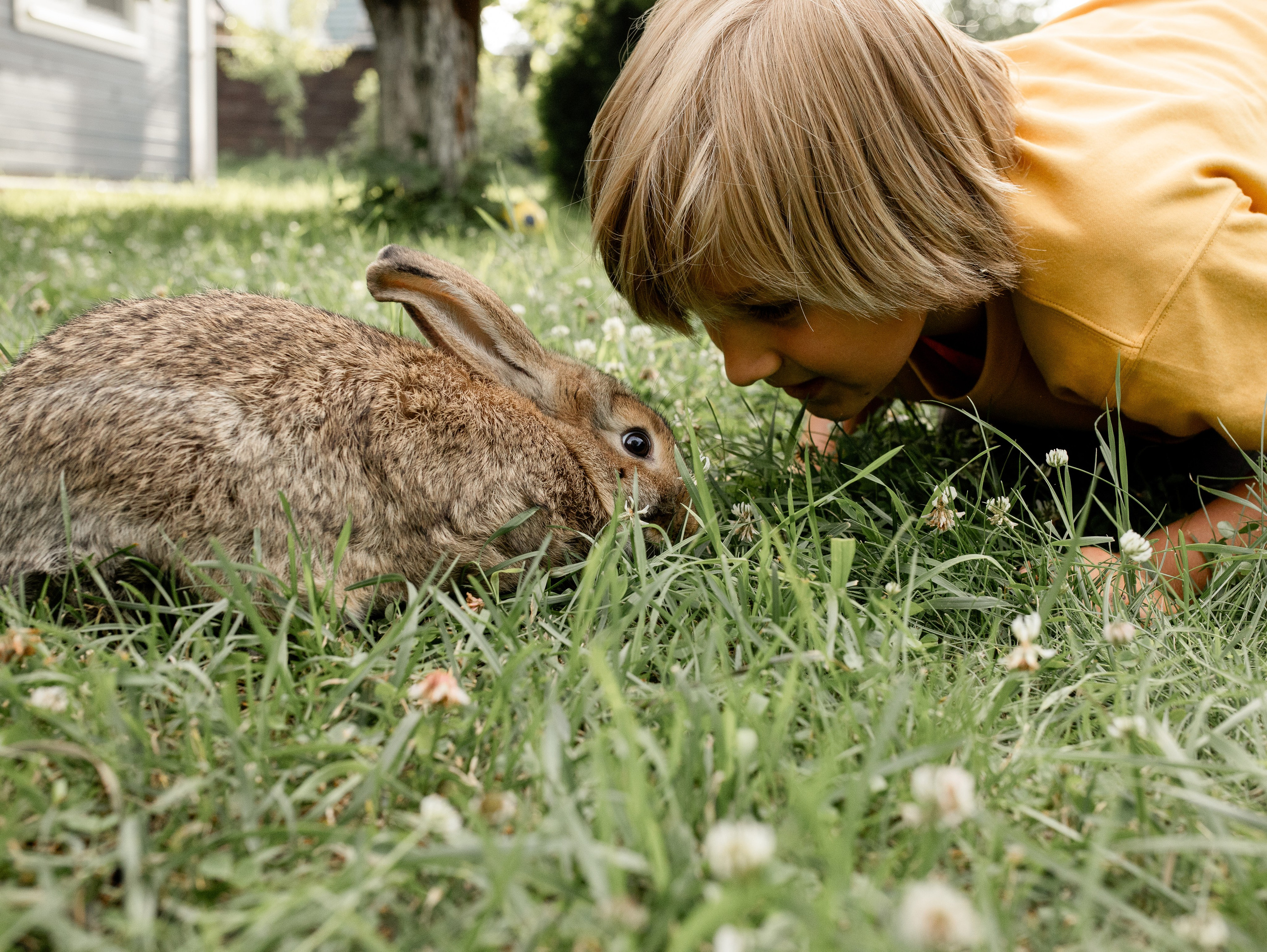 Кролики 2023. Семейный фотограф в Санкт-Петербурге Ирина Иванова