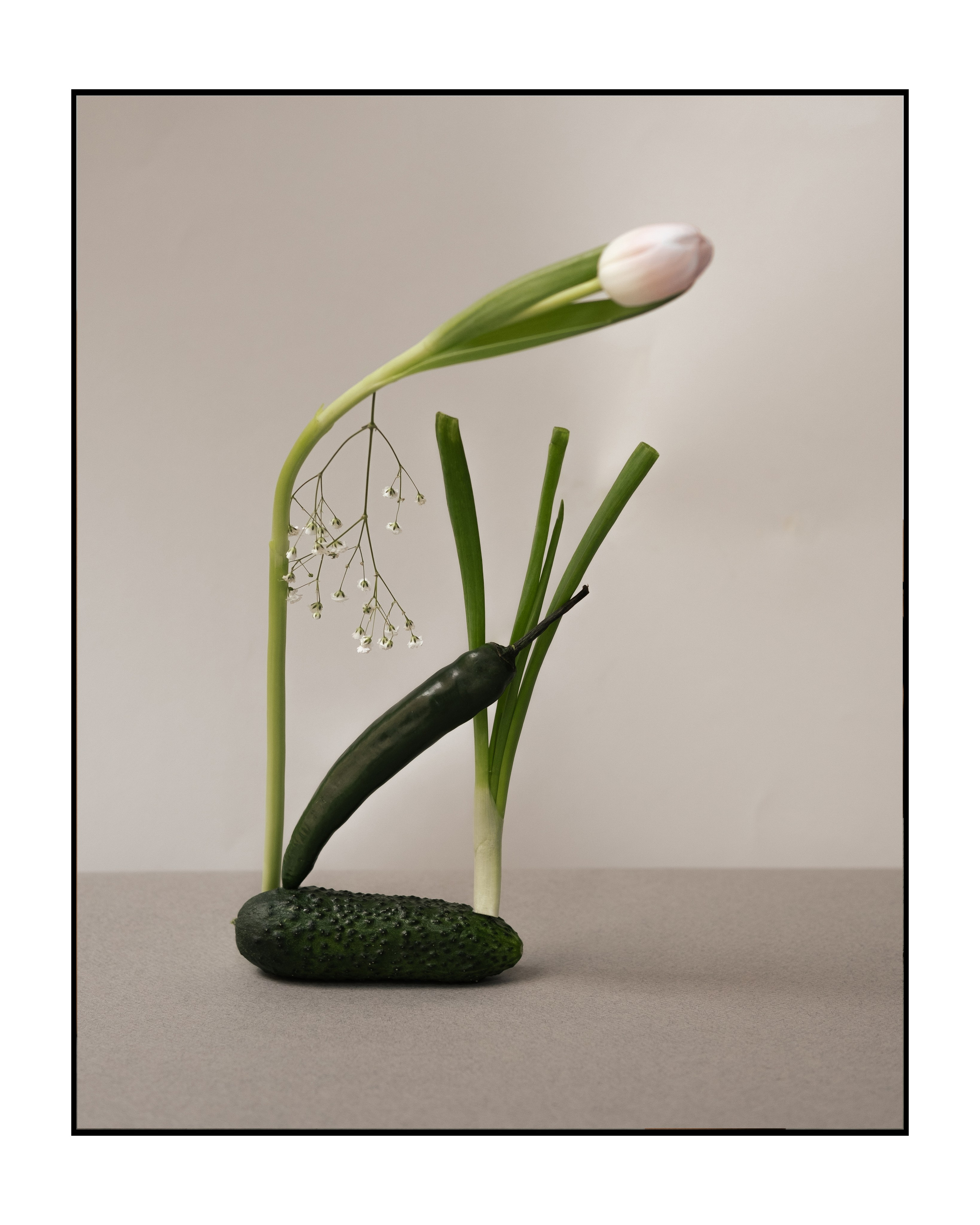 Сет дизайн. Фотограф Санкт-Петербург/ Москва Сланцем Нина