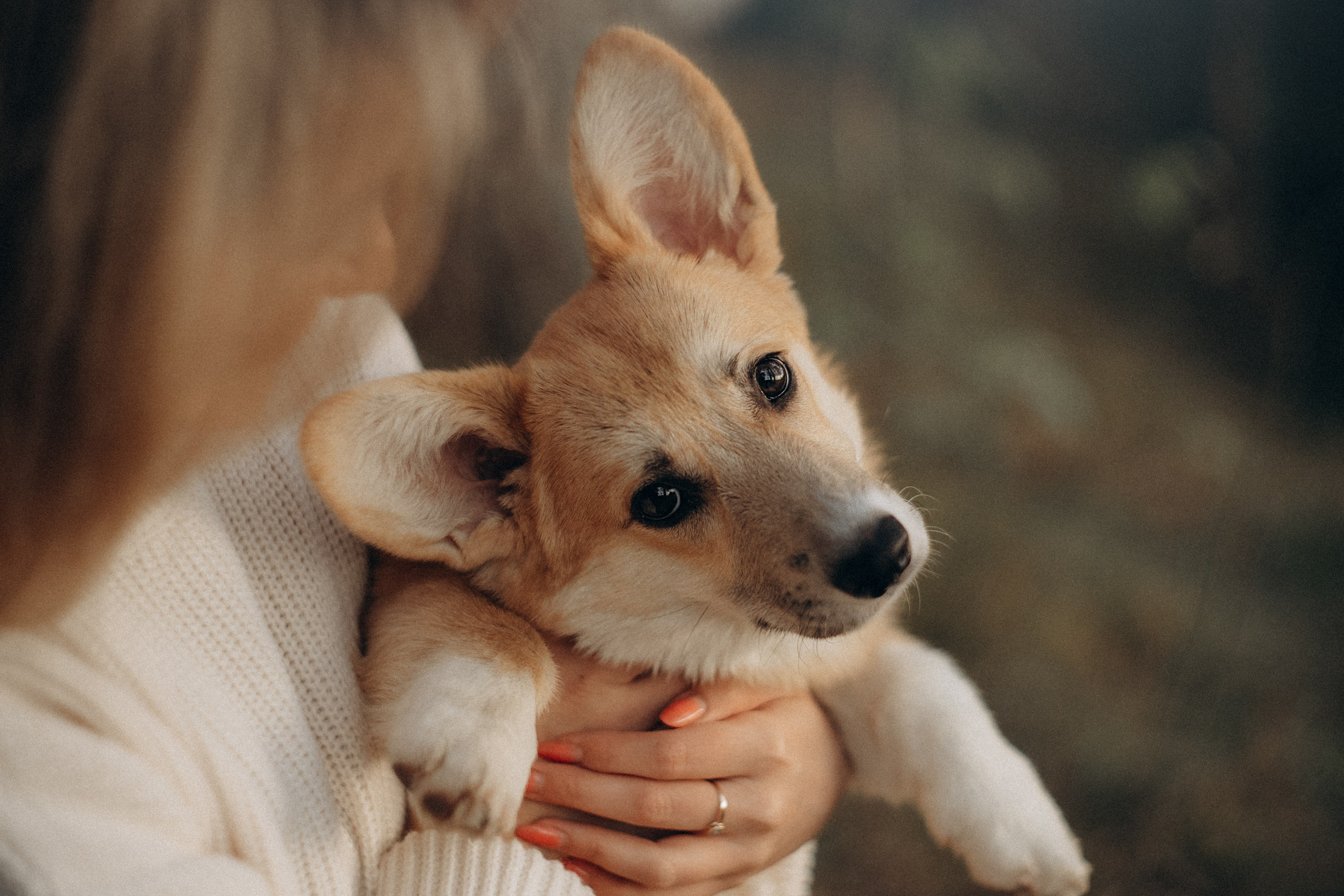 Катя и Берта. Фотограф анималист в Москве и Санкт-Петербурге Свиридова Анна