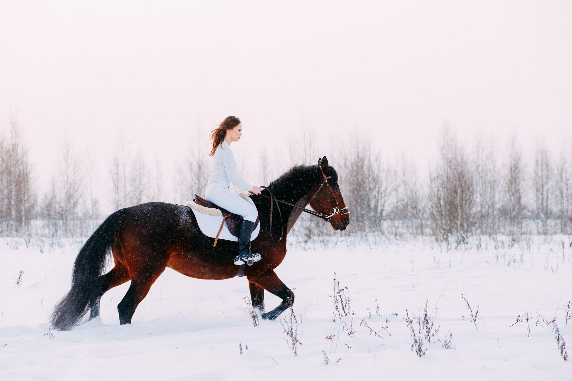 Зимняя фотосессия с лошадкой. Фотограф в Санкт-Петербурге Alina Film