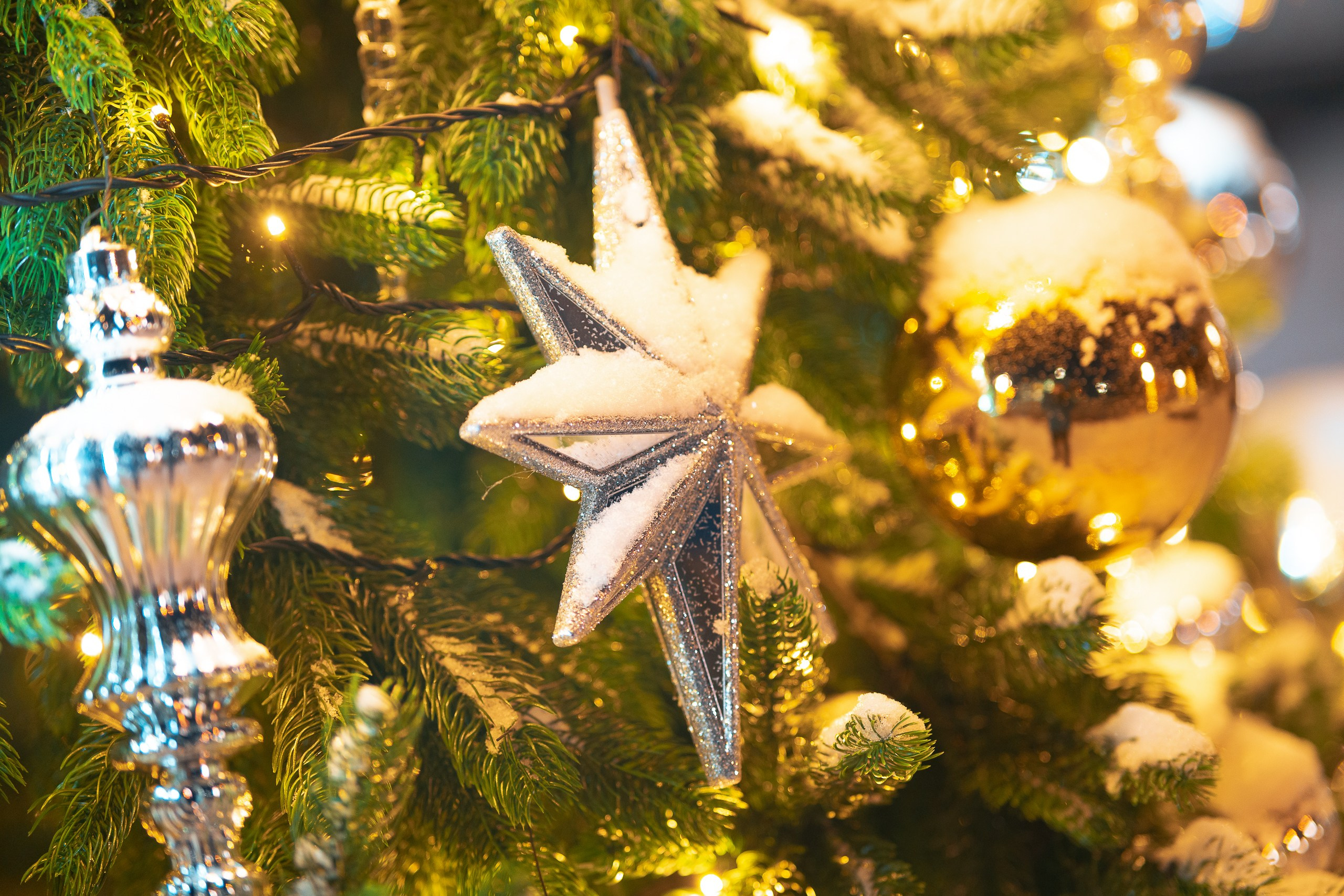 Сити-квартал «Александровский». Репортажный фотограф Красноярск Алекс Чампакхам