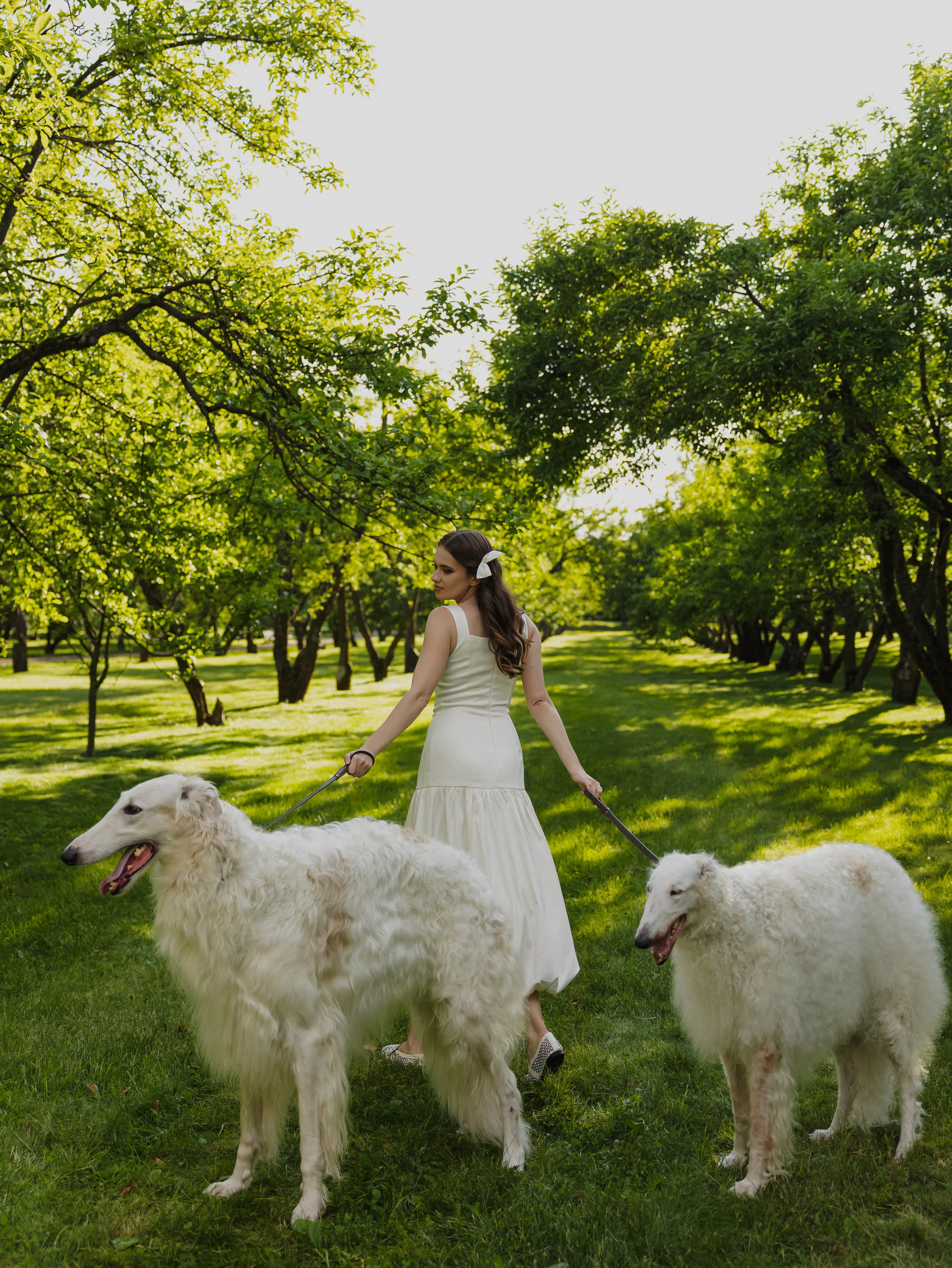 Одним летним вечером