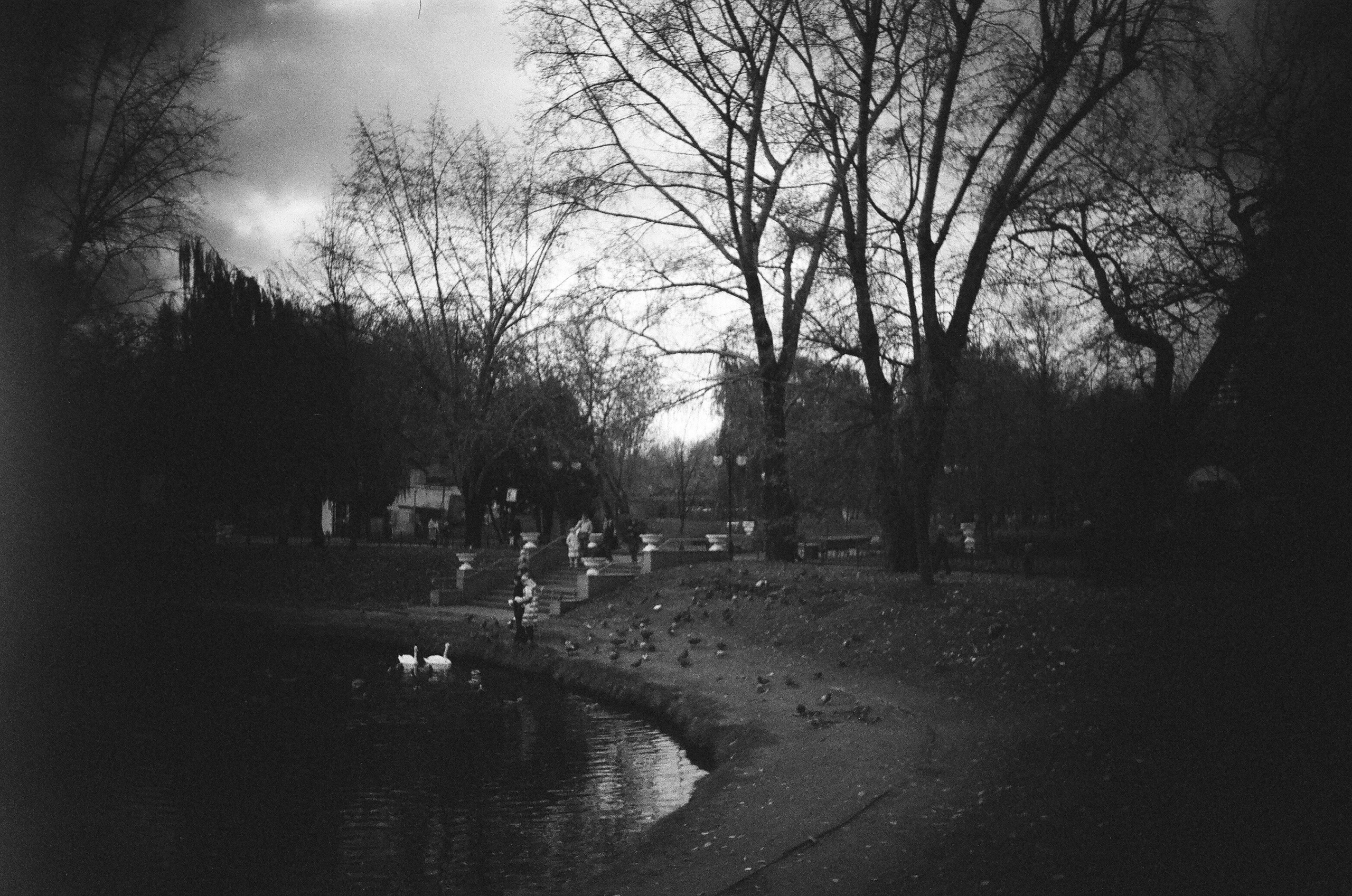 Go plenka. ELINA VLADI