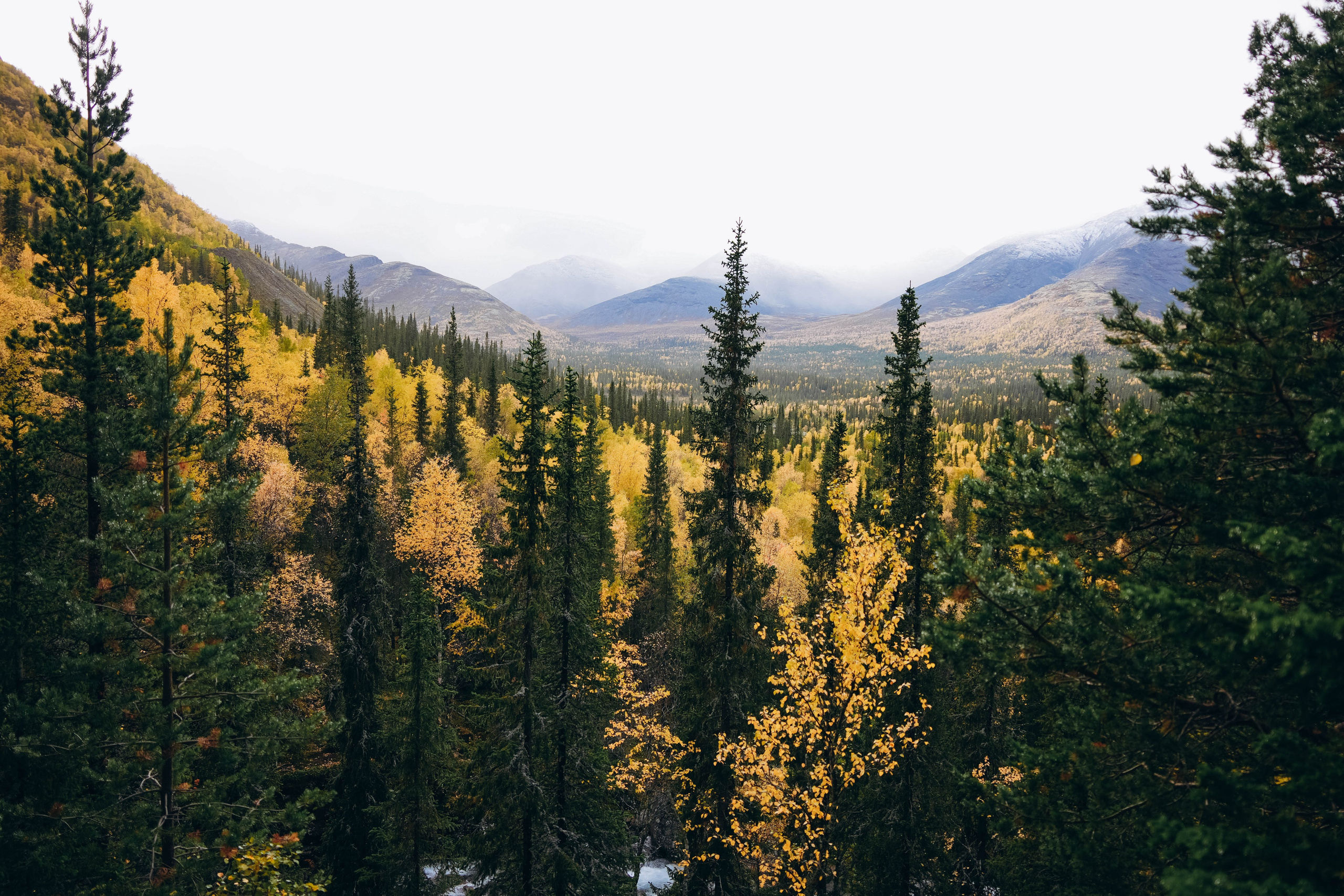 СЕВЕР. Event фотограф Степанова Александра