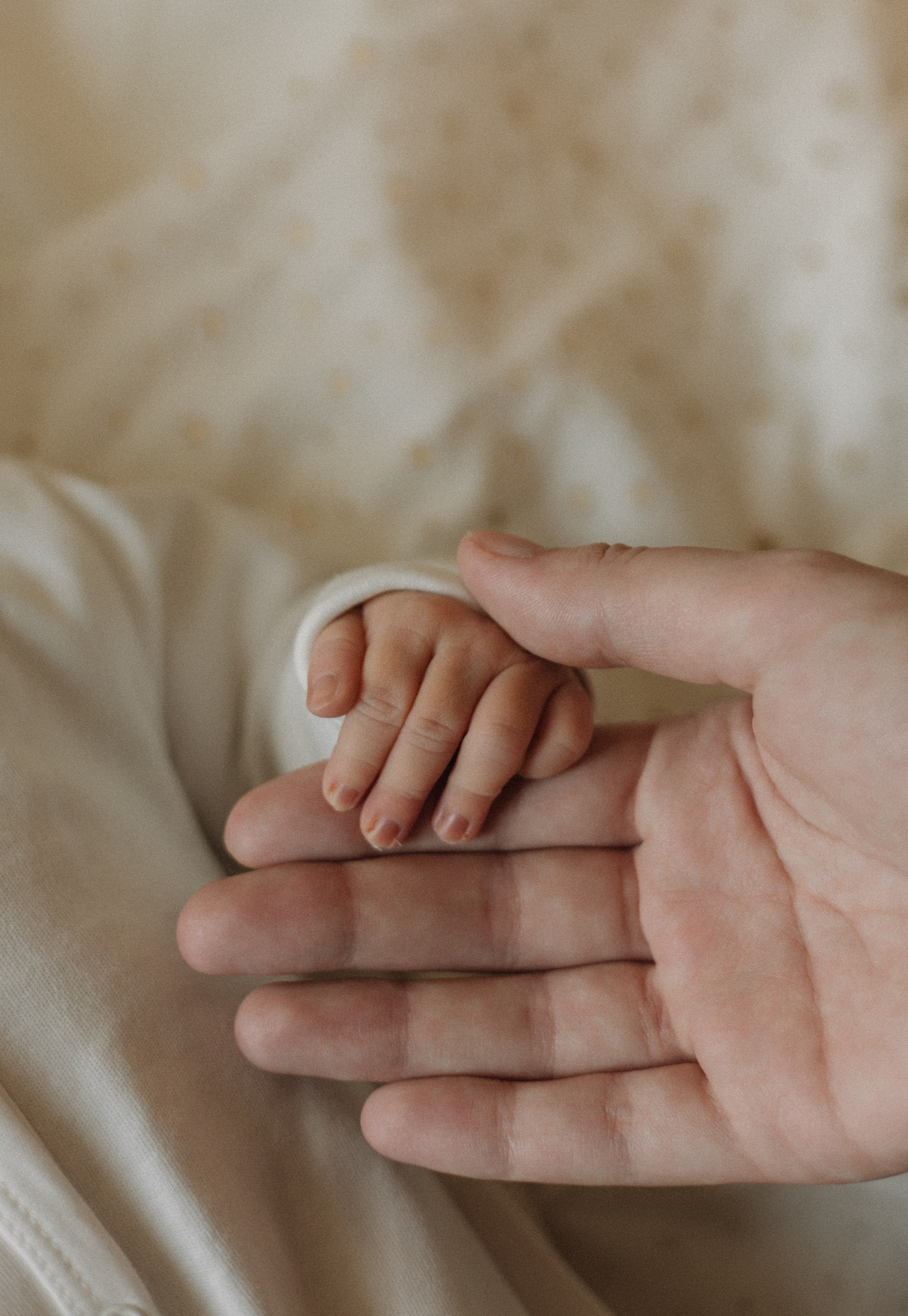 Выписка малыша. Meryfotoidea