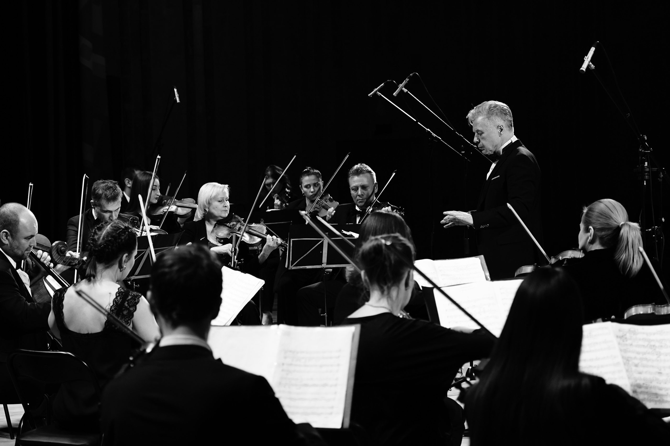 Мероприятия и концерты. Репортажный фотограф в Москве Сергеев Илья