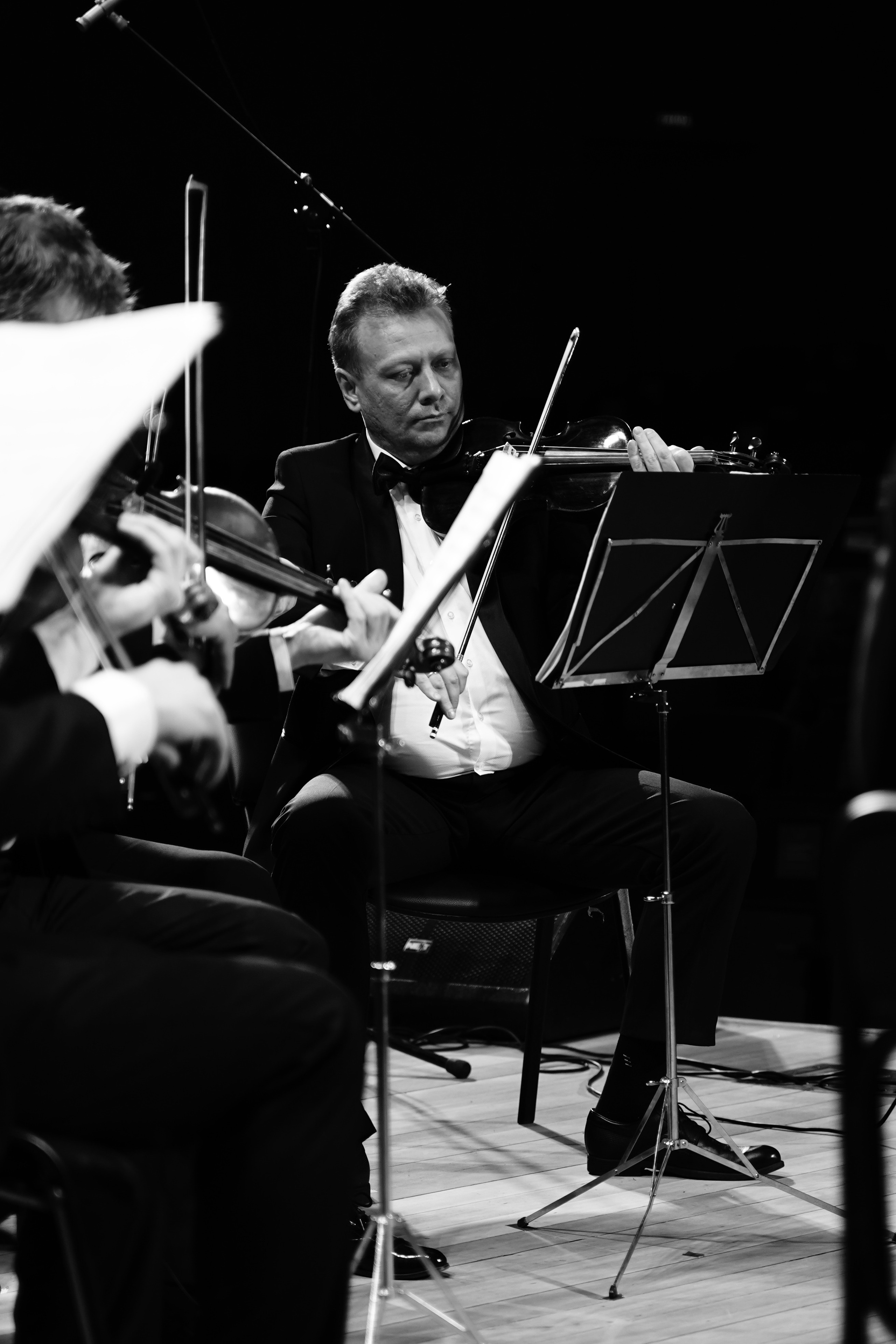 Мероприятия и концерты. Репортажный фотограф в Москве Сергеев Илья