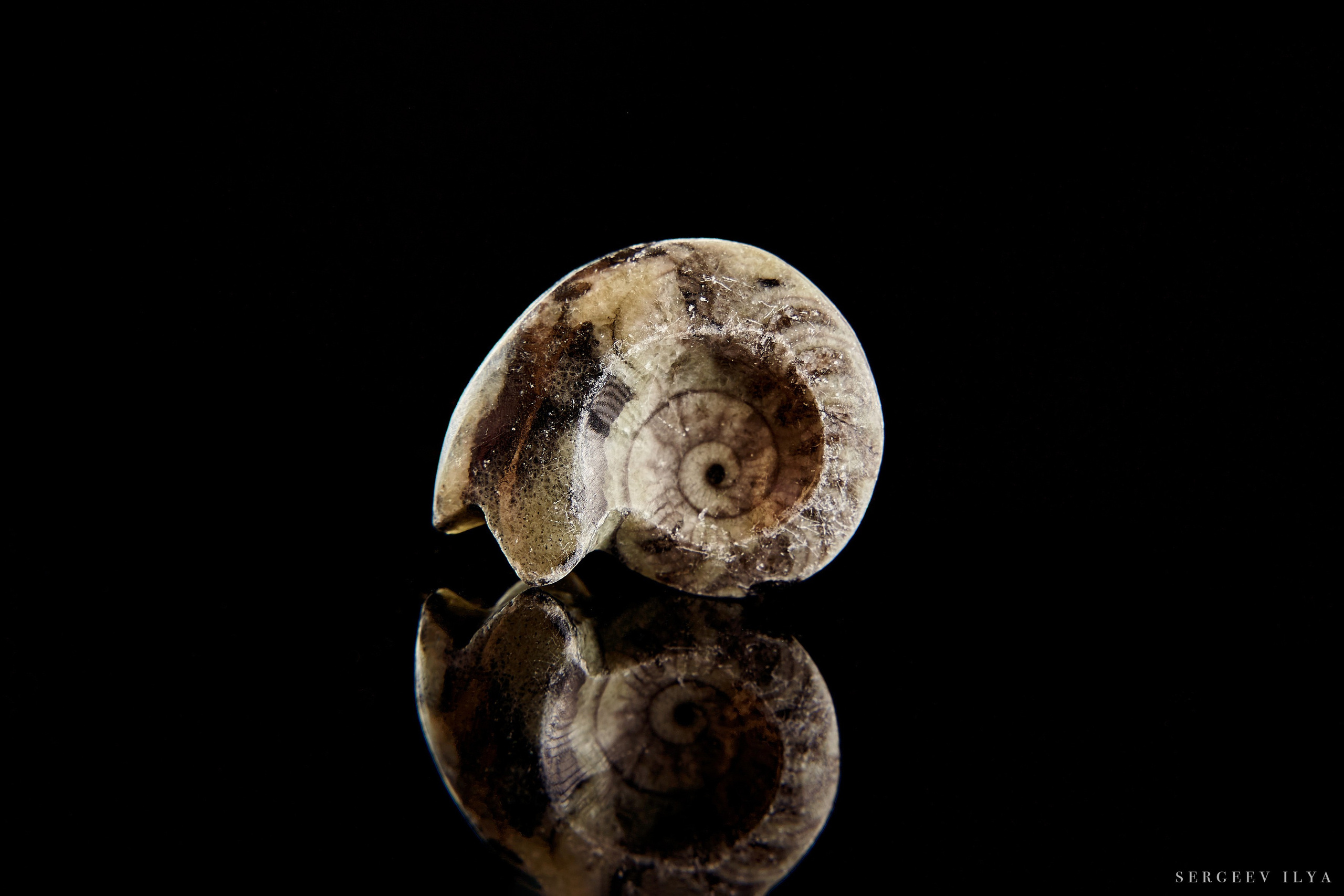 Предметная съемка. Репортажный фотограф в Москве Сергеев Илья