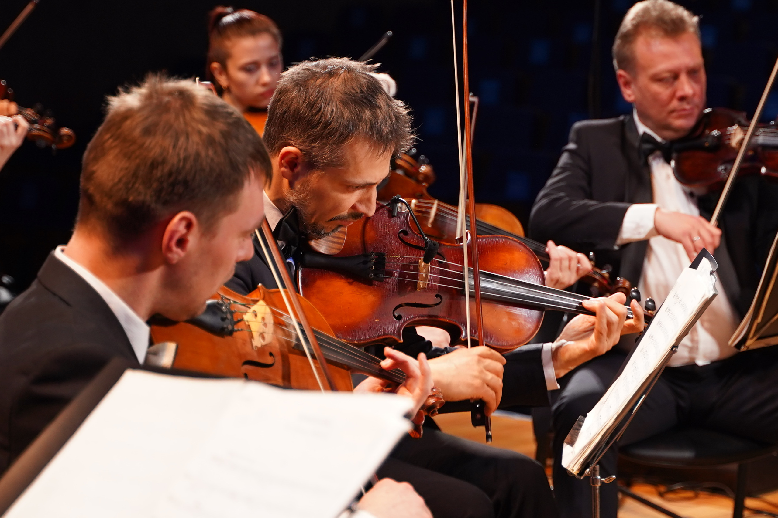 Мероприятия и концерты. Репортажный фотограф в Москве Сергеев Илья