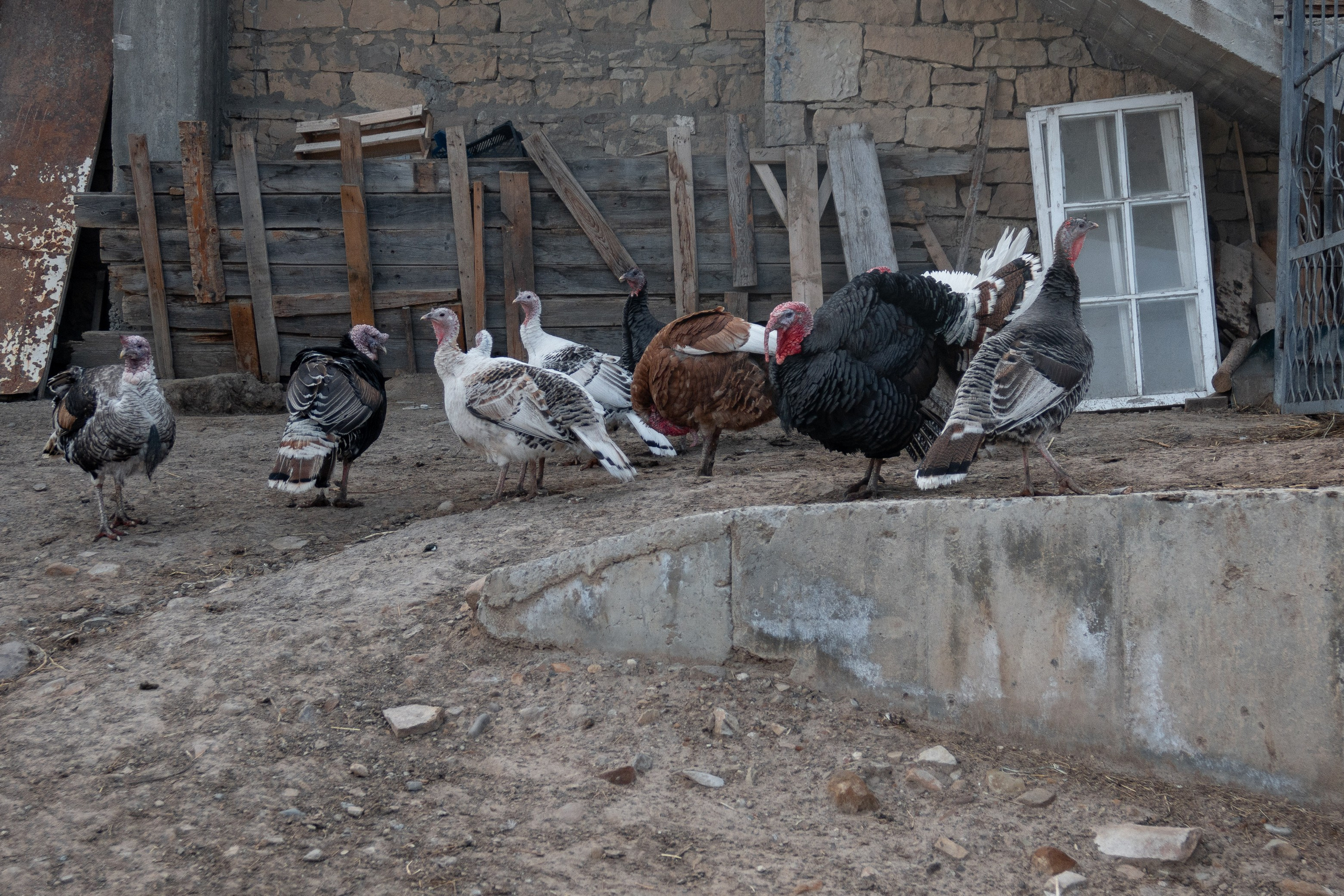 Поездка в Дагестан (село Гуниб) на съемку трейла Wild Trail. Павел Шарапов | Фотограф | Москва