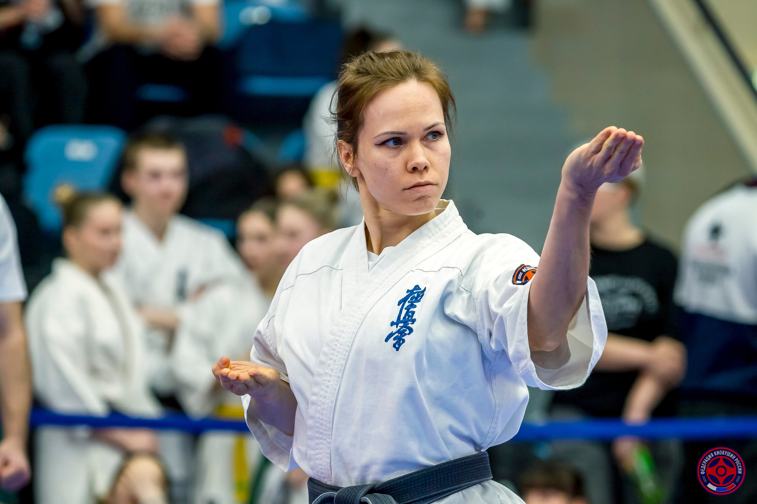 Международный турнир по киокушин «Открытый кубок Seiken». Репортажная съемка в Москве и области. Анималистика