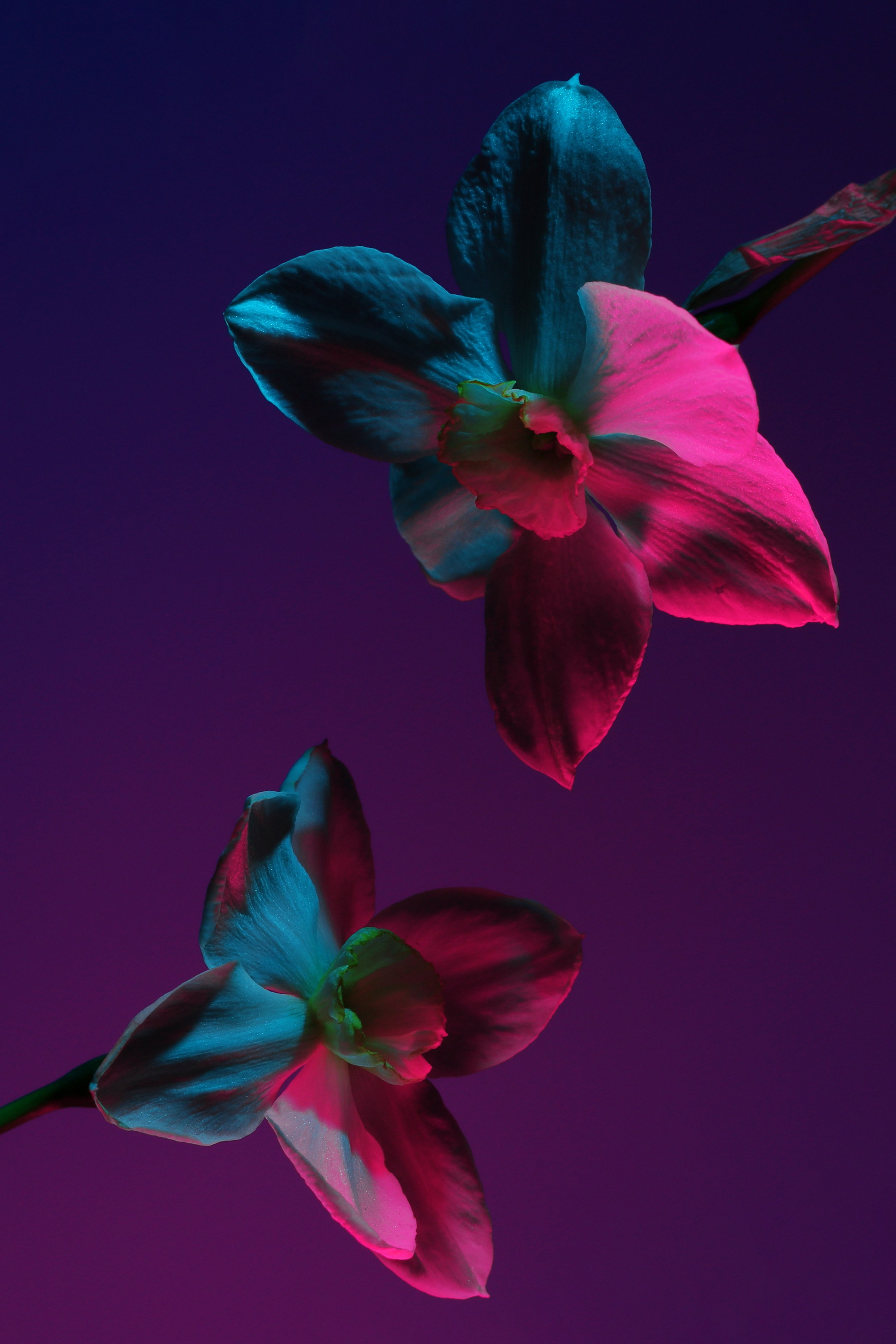 Фотограф Стоделова Любовь