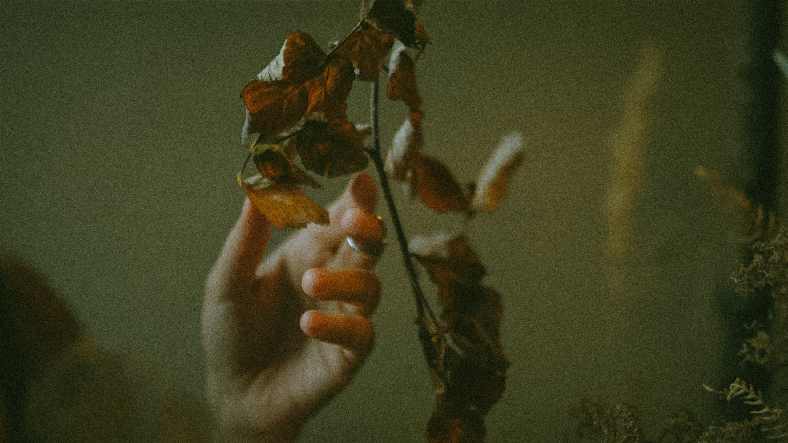 Лика. Портретный фотограф в Москве Ефанова Ульяна. Женский портрет