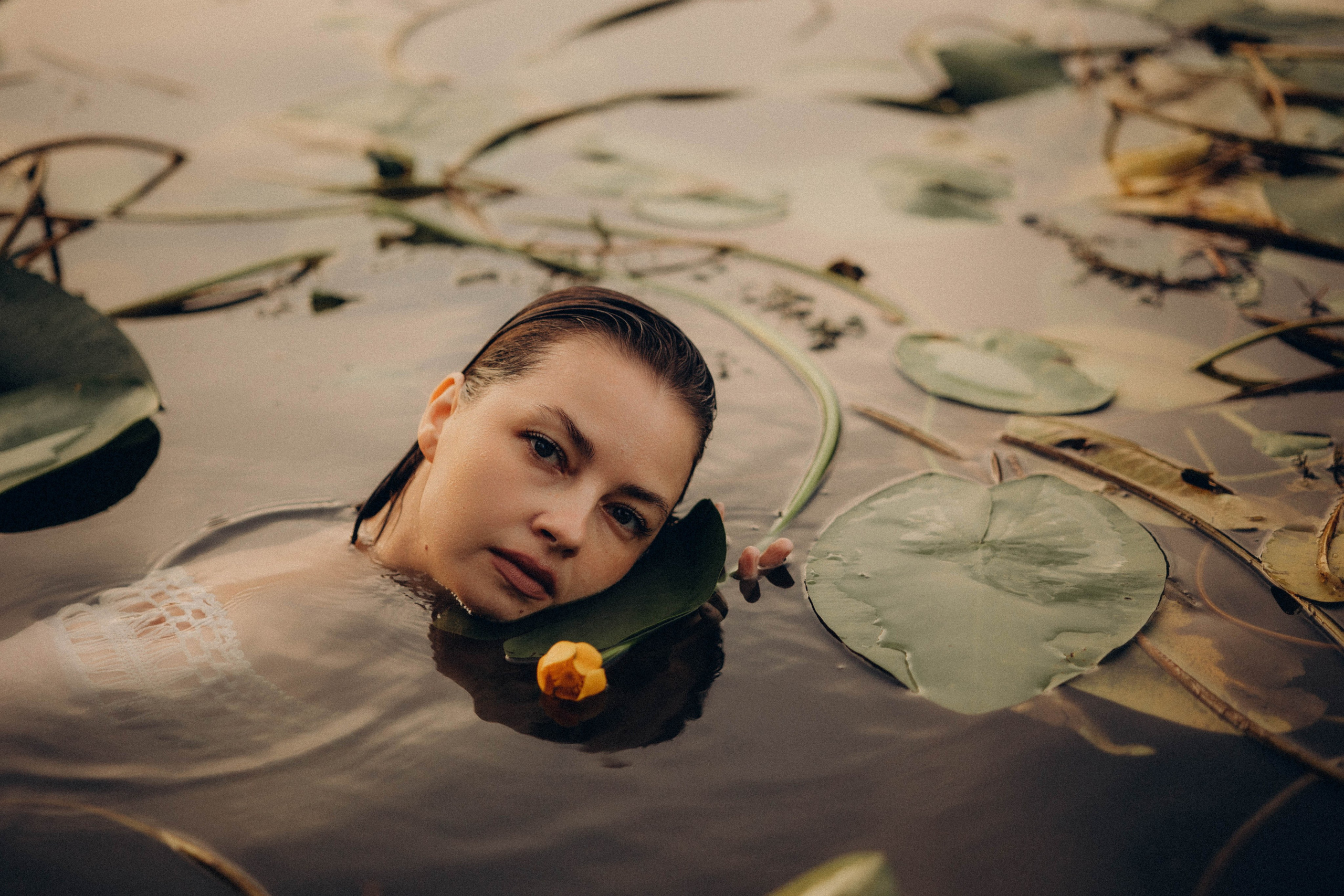 Кувшинки. Главная